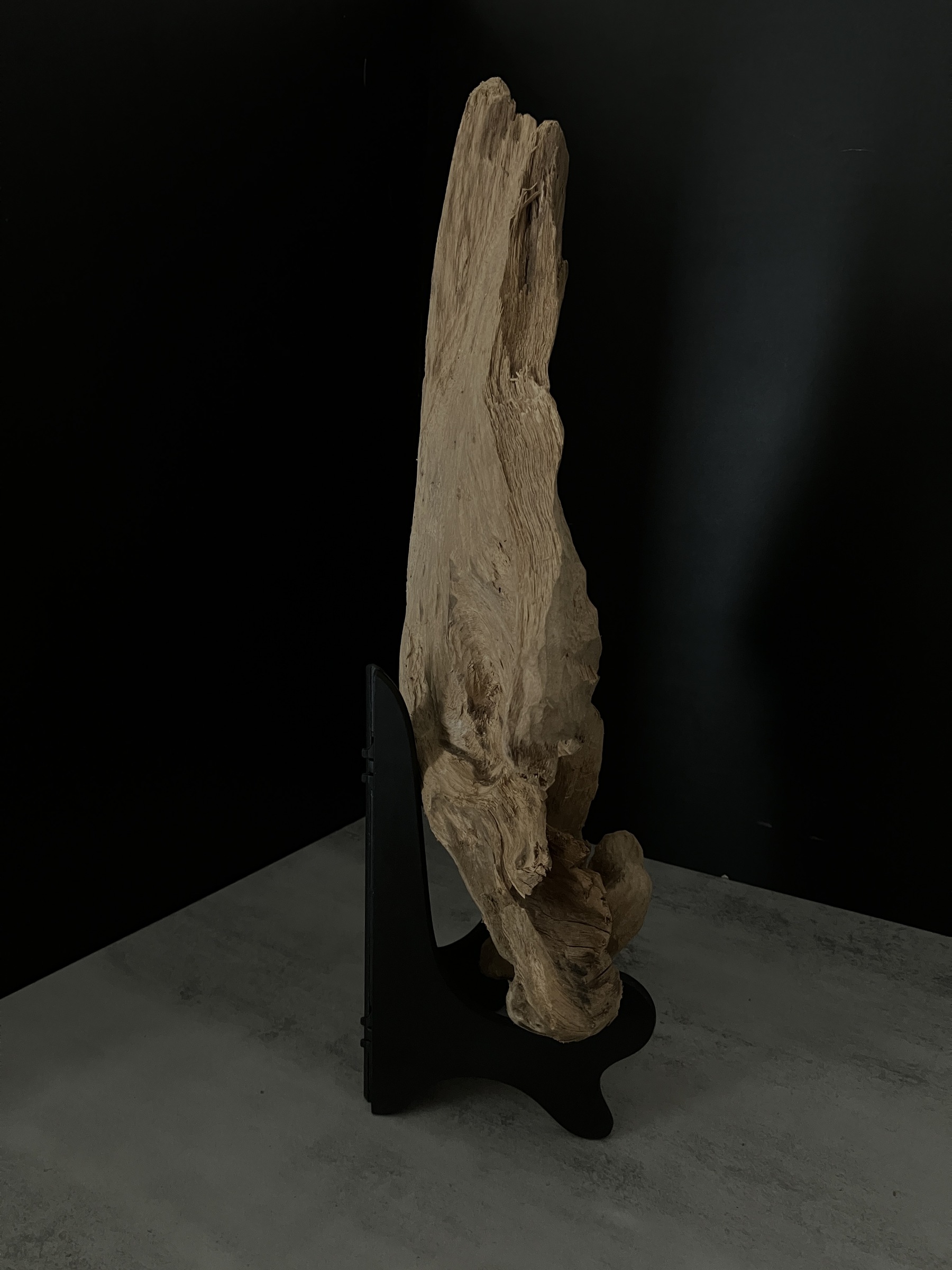 image_1CFBA9C7-B6E3-40A2-AD5D-5DBFE892BEC3_1762410782