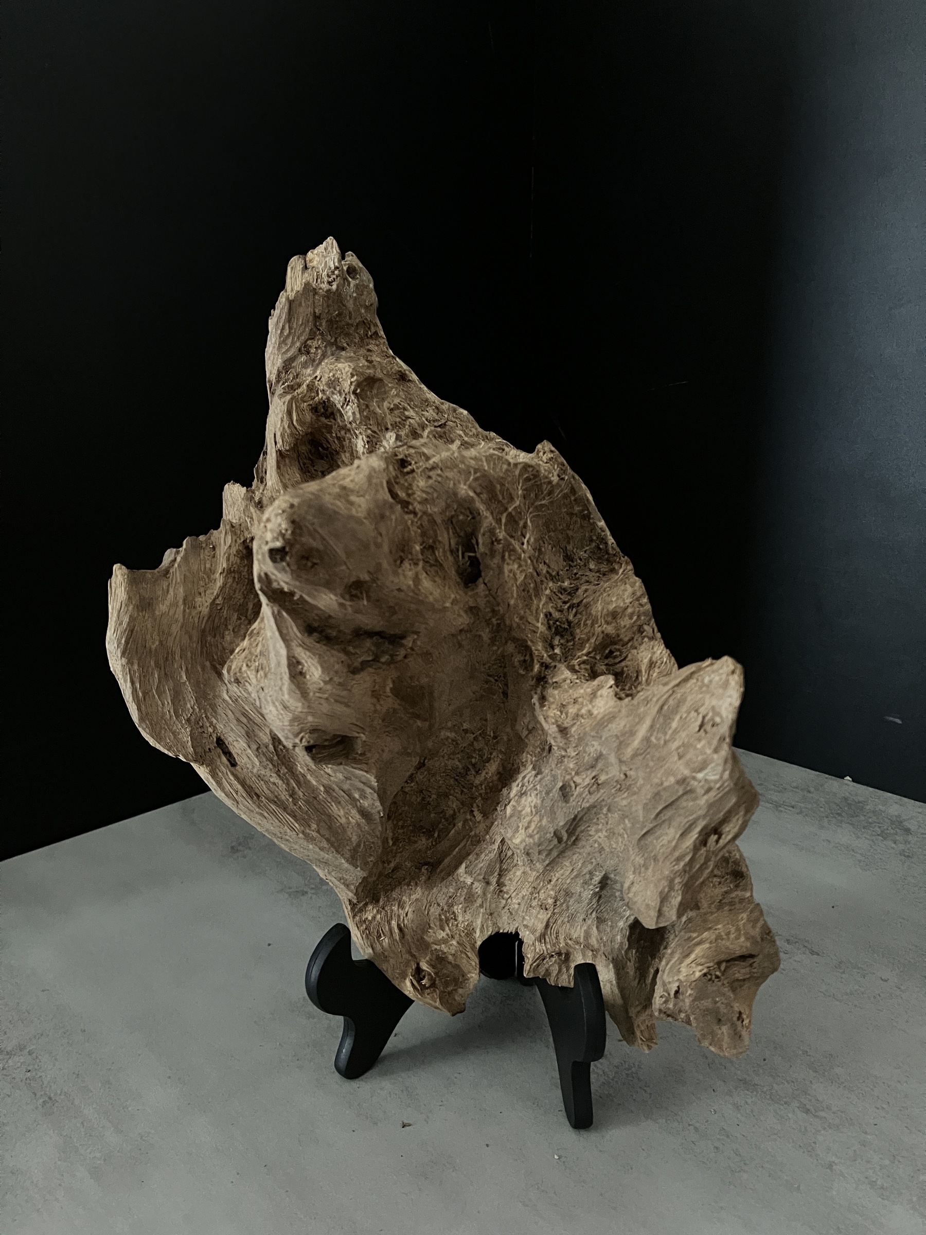 image_693DBF57-00DF-4BD1-88DC-9CDC309F2F2C_1762410950