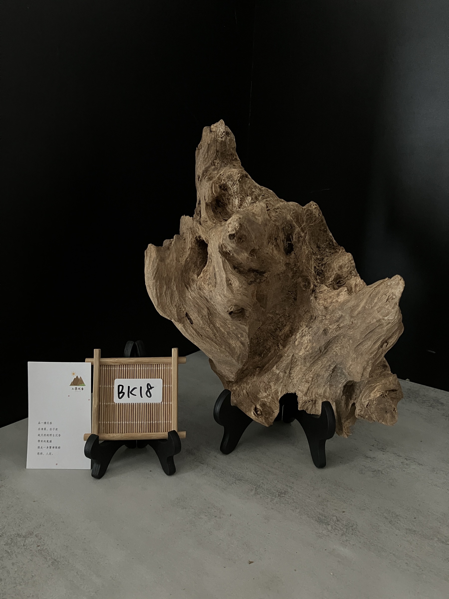 image_7384C8E9-3F68-4CD9-9E56-5CDDB23EB740_1762410950