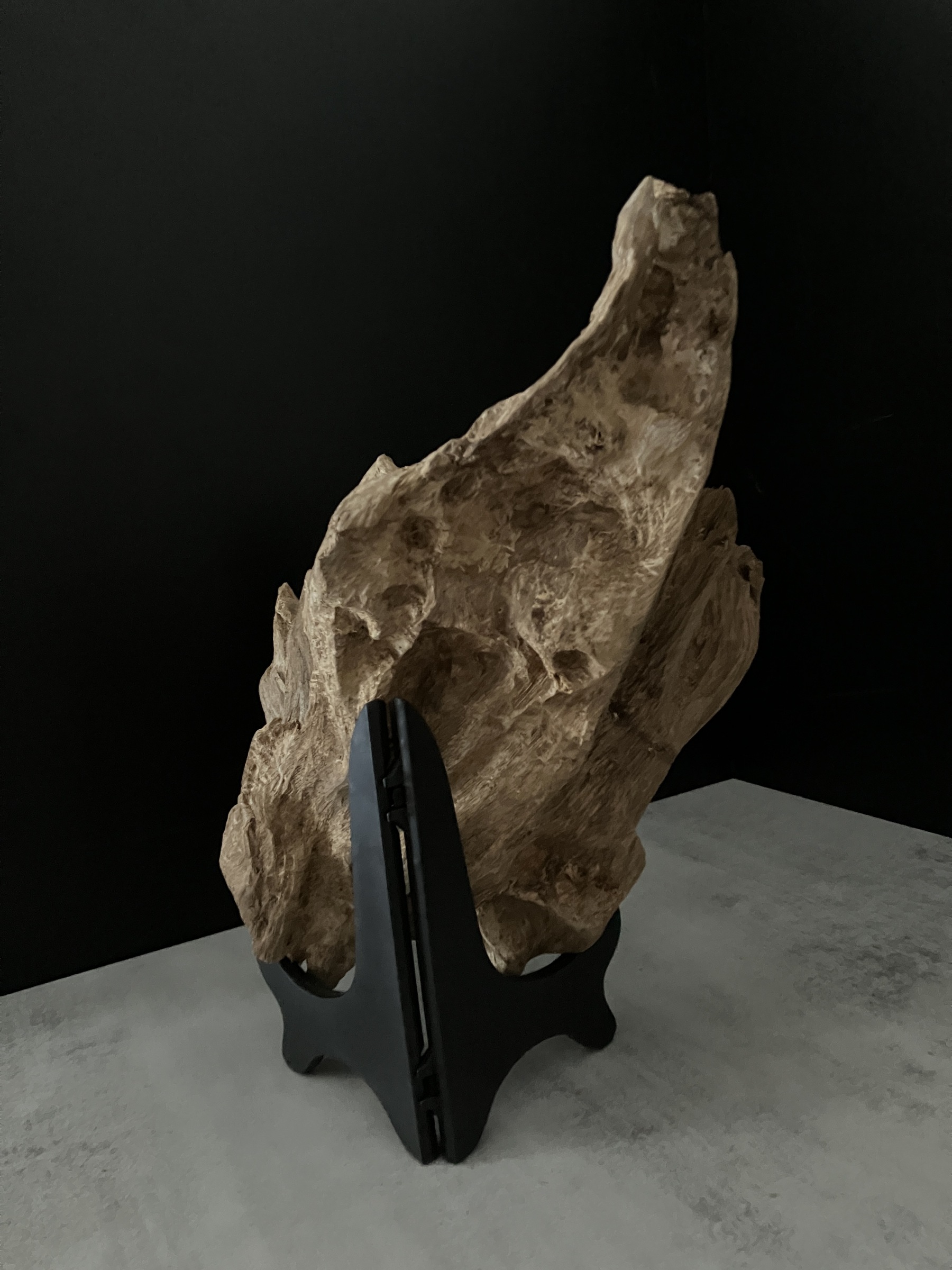 image_6FA48FDE-4050-4340-8D8A-2F72B7951ACD_1762410950