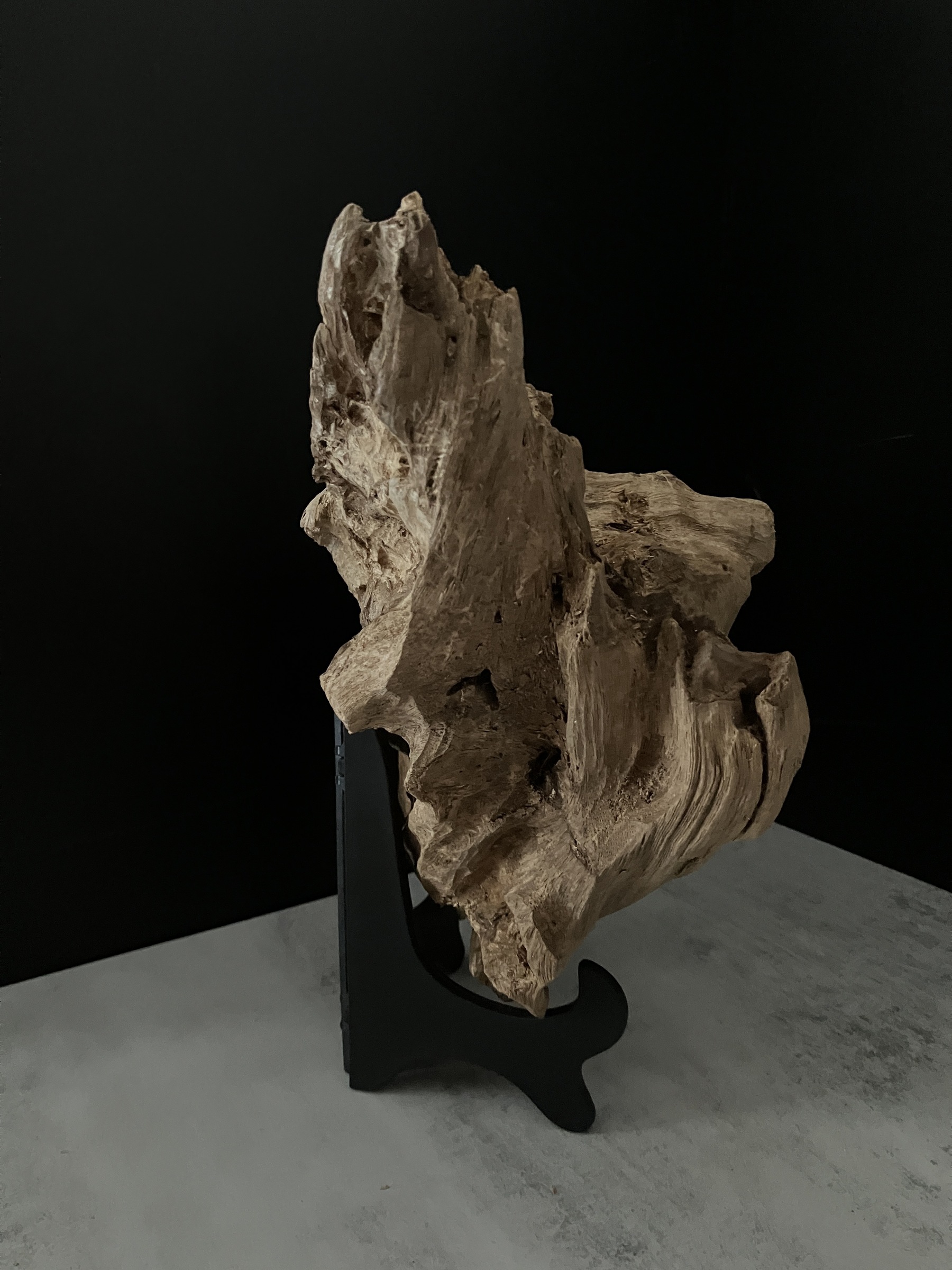 image_5E518236-739C-44FD-8512-BEE9FE8889E9_1762410950