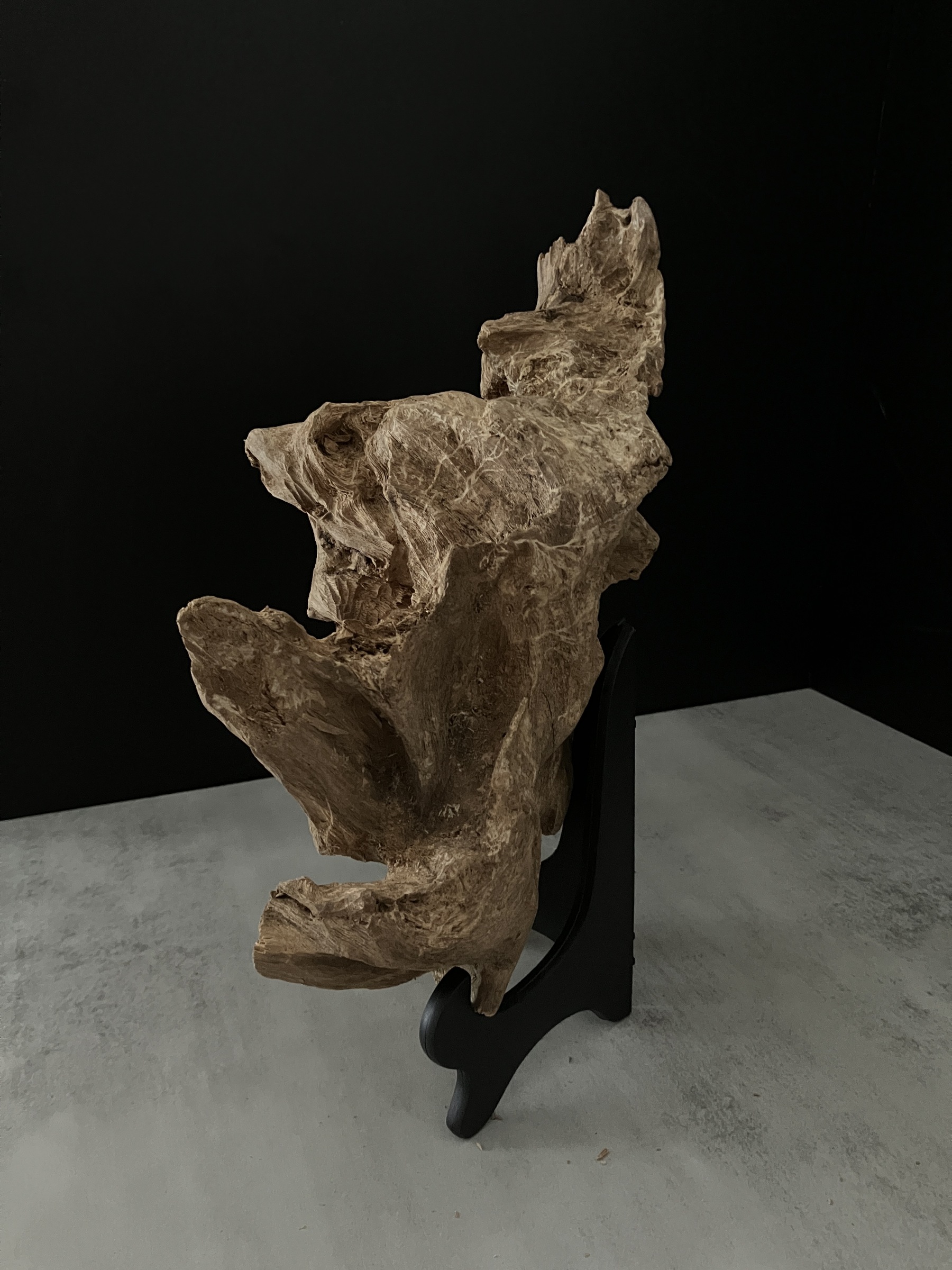 image_0F4AFC28-6046-4C40-82EF-E77B46D7CB10_1762410950