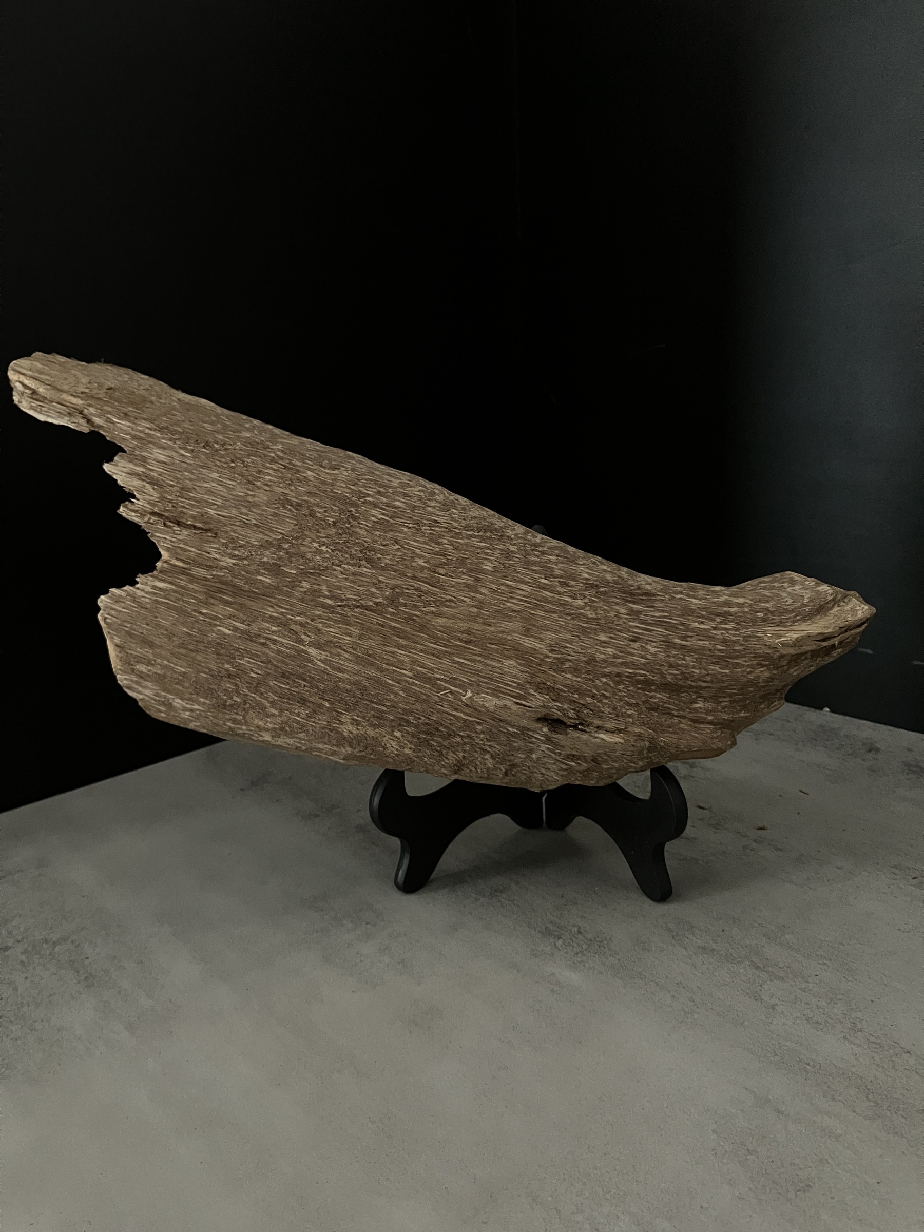 image_75630B2D-78C9-4435-BA5D-5E2B7AEE3B94_1762411061