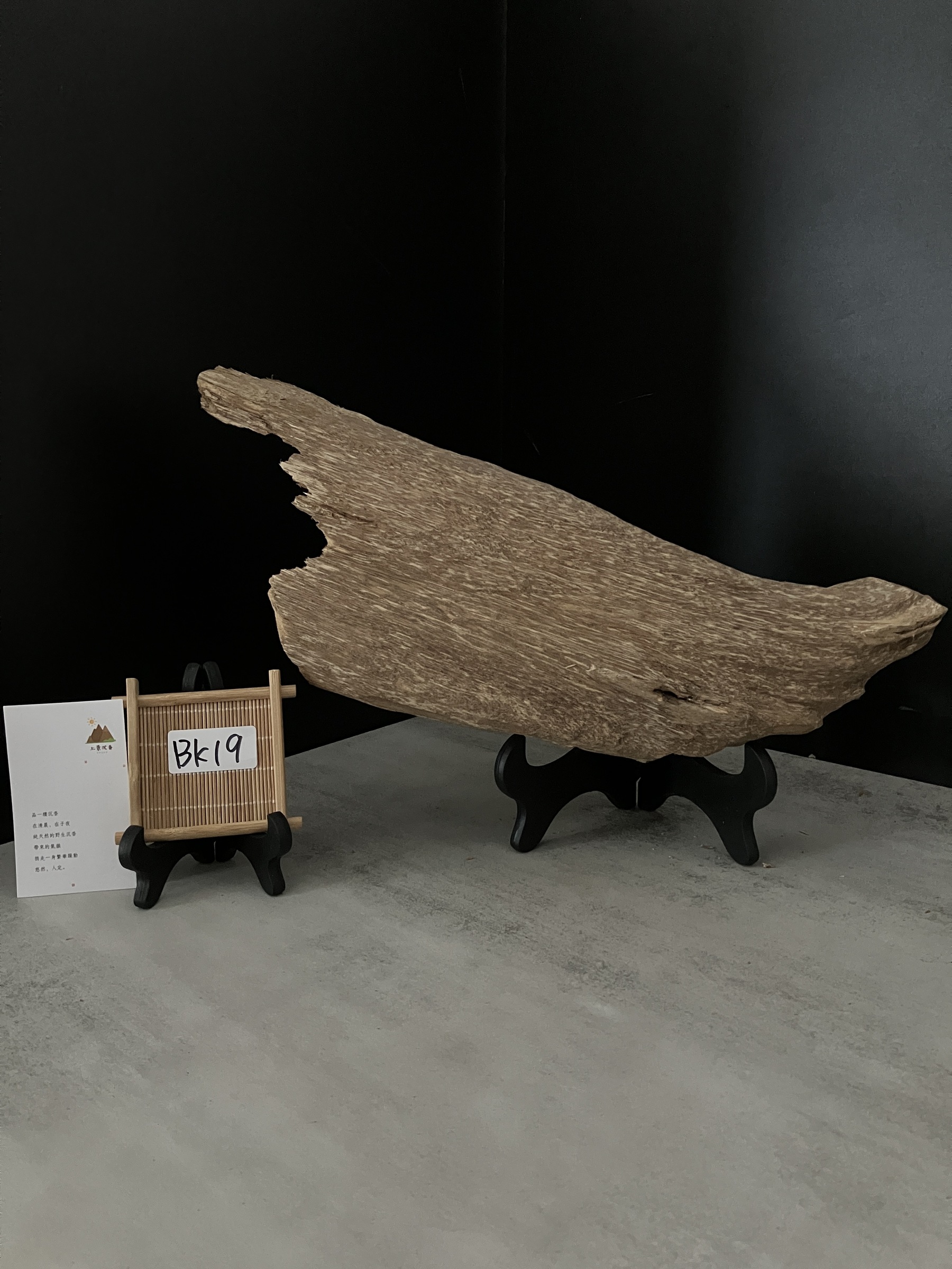 image_D1035A09-AAEC-4510-A04C-563C2B97E341_1762411061