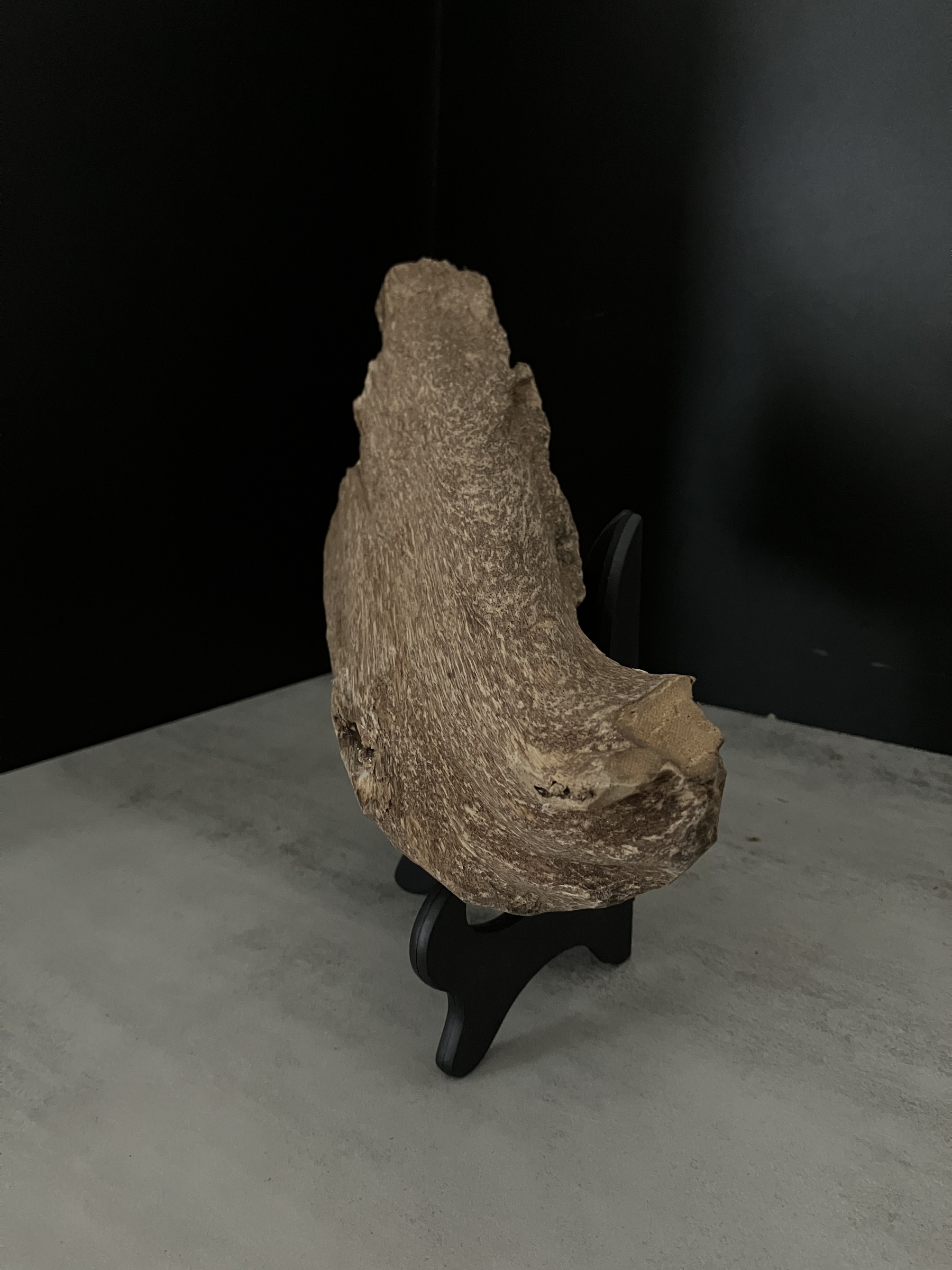 image_8585FDB0-D64F-47D5-A951-ACD8266CDCFE_1762411061