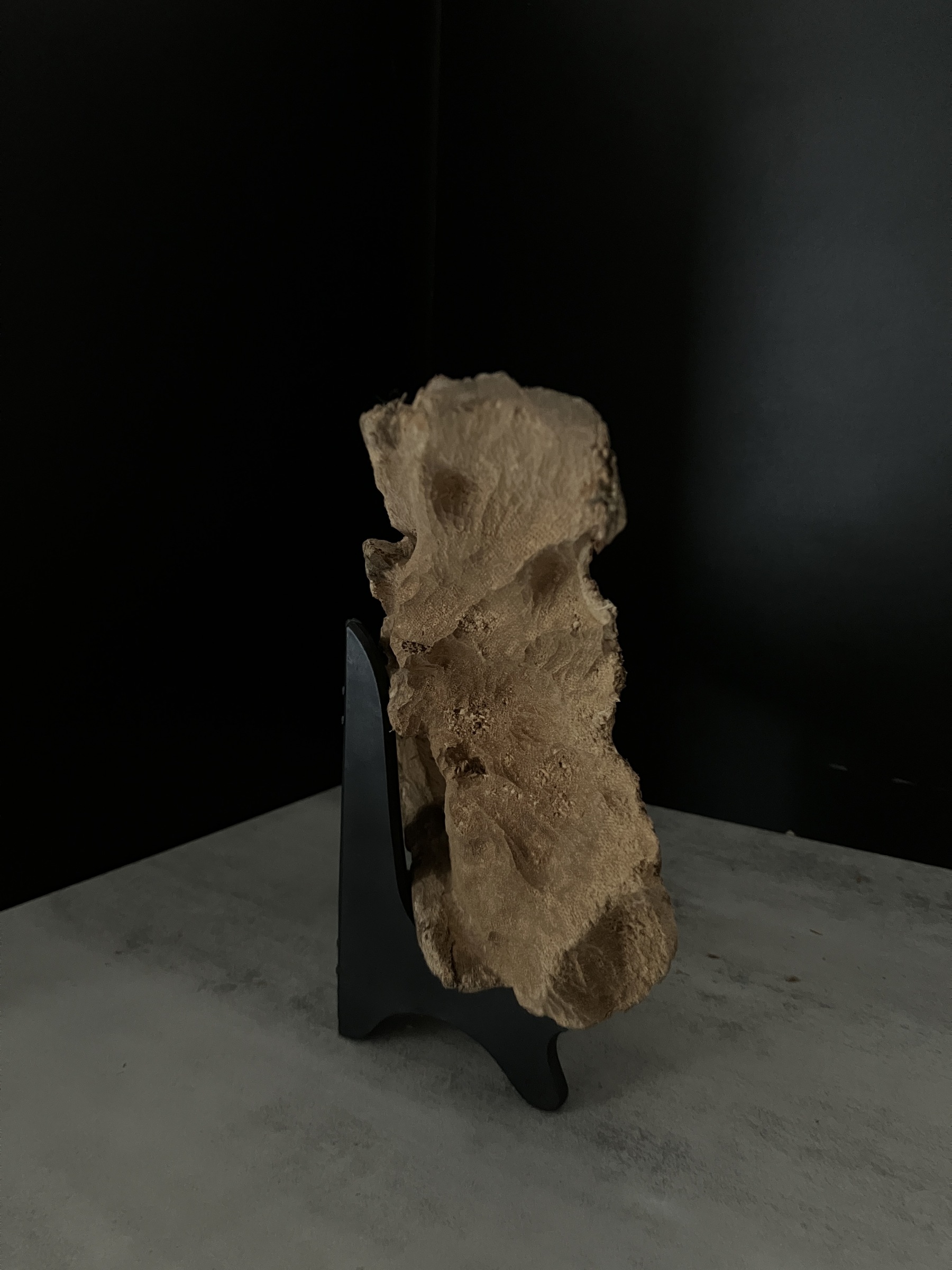 image_CFAF2010-EB9D-472B-9A35-5FFE75C0541B_1762411061