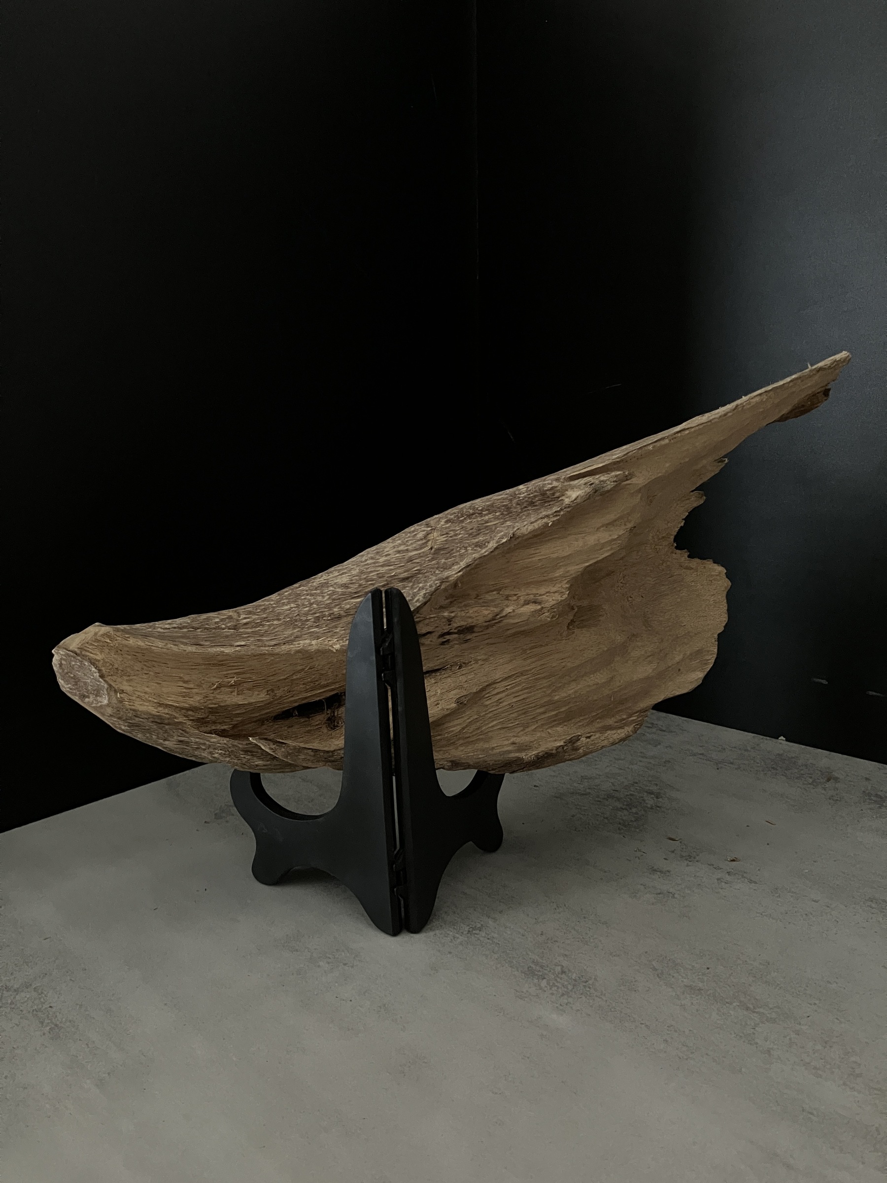 image_F8843FAB-11BD-4556-A8E3-7344D78453CA_1762411061