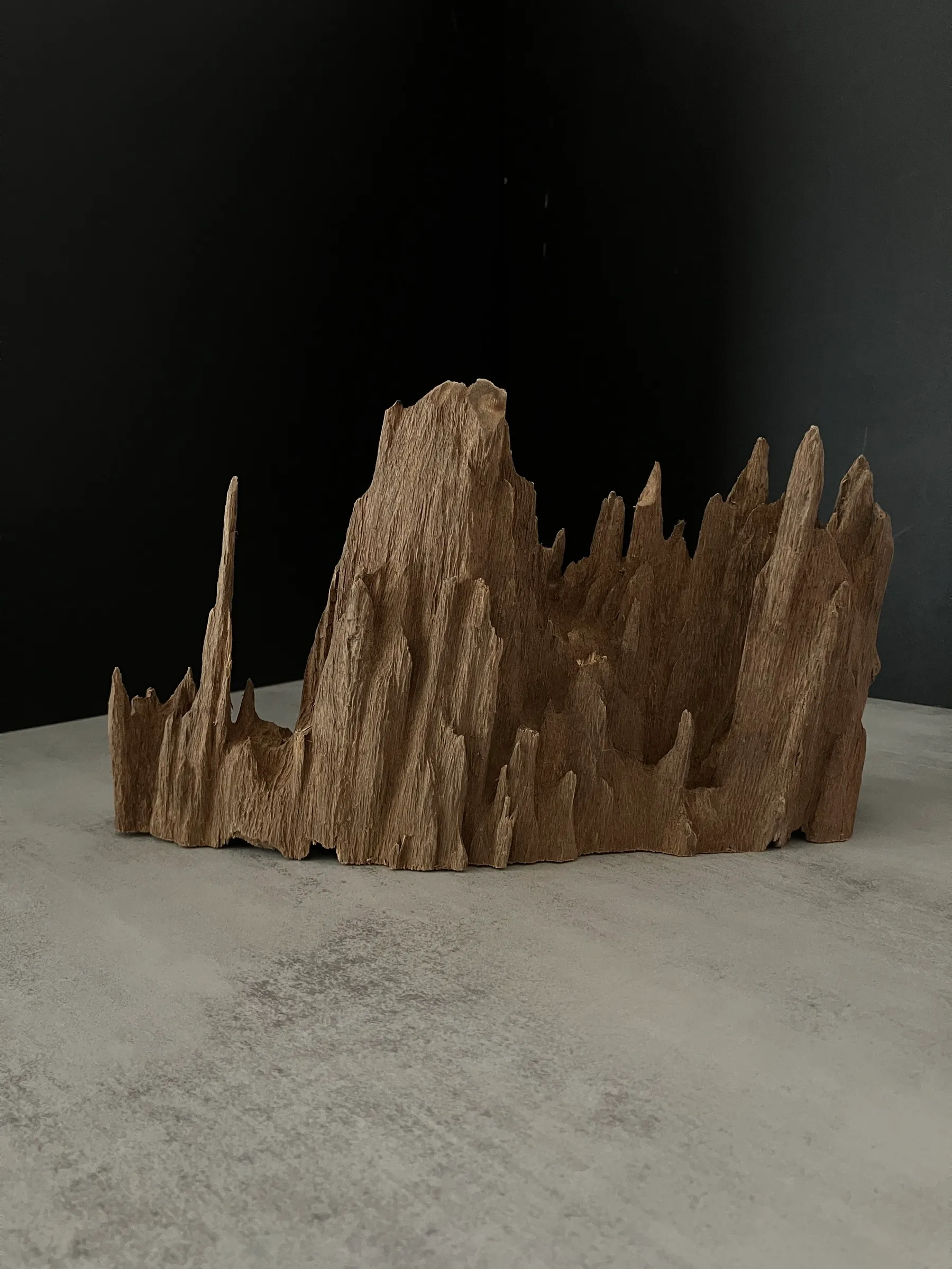 image_6FD9599B-DDE4-472B-A602-9806E12A570D_1762932536