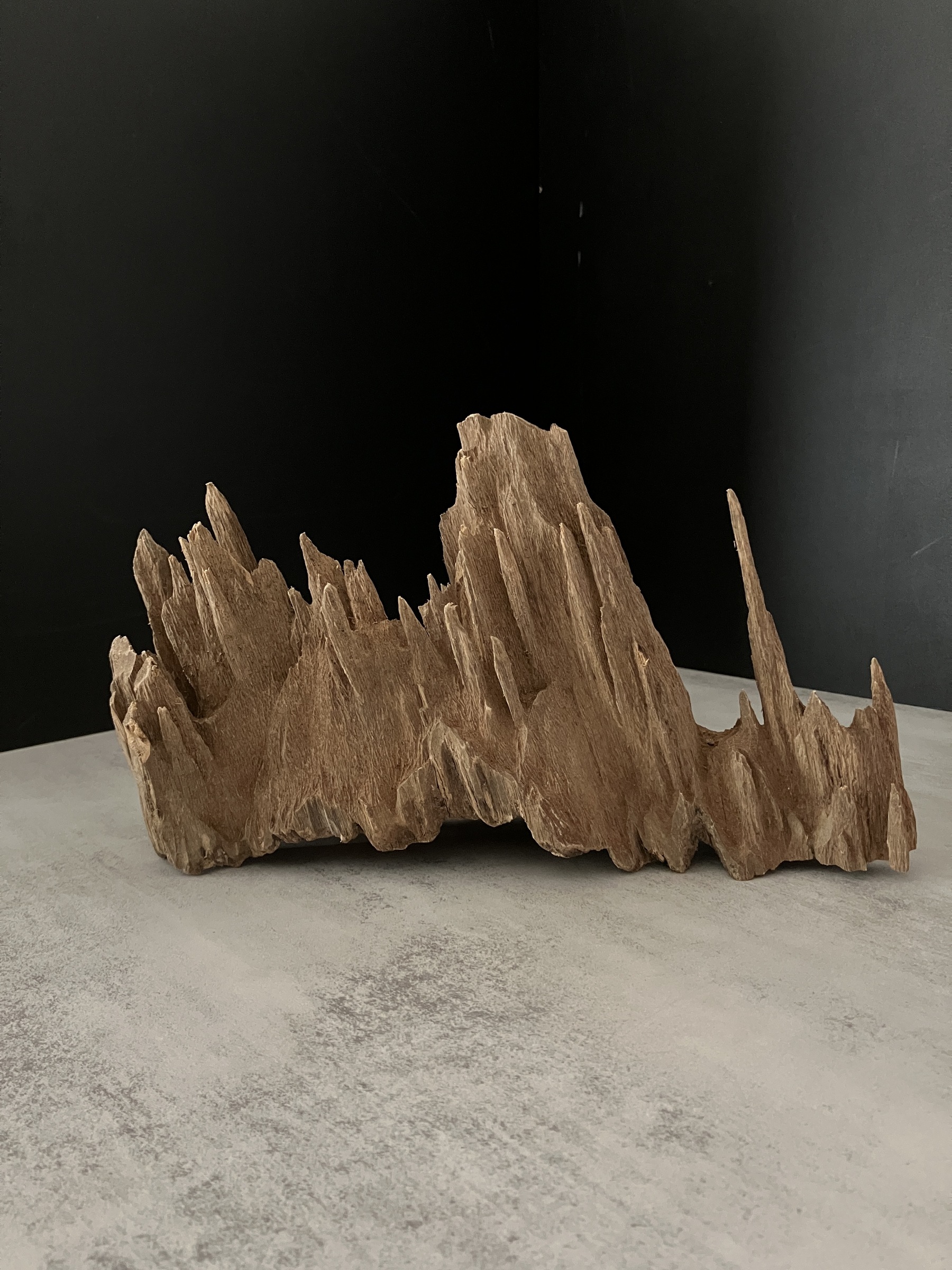 image_6F0876B9-F0E8-446B-9D71-BBE32FE5A2A6_1762932536