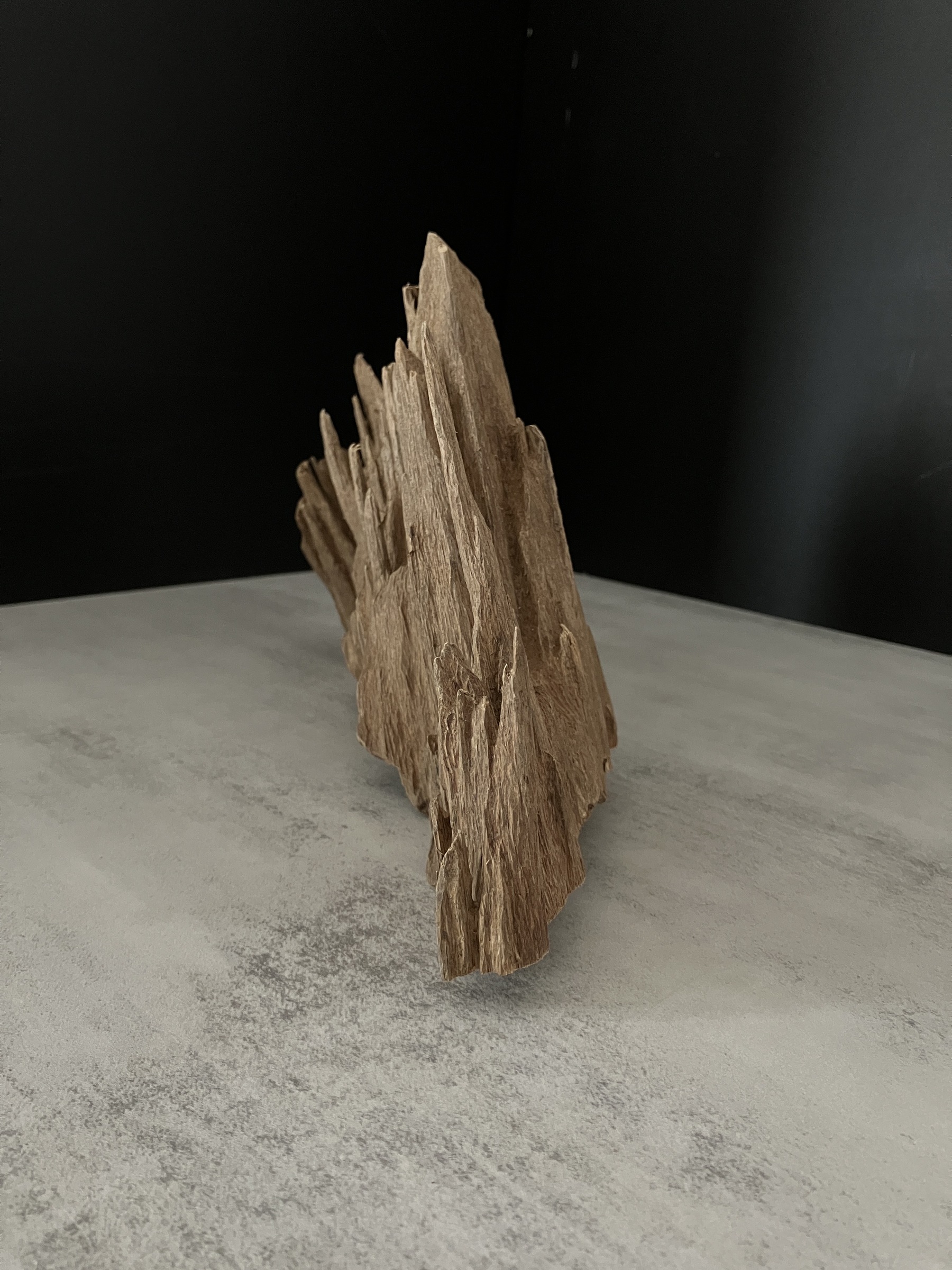 image_45BC1254-7F40-4F24-8D78-6B239C7C0047_1762932536