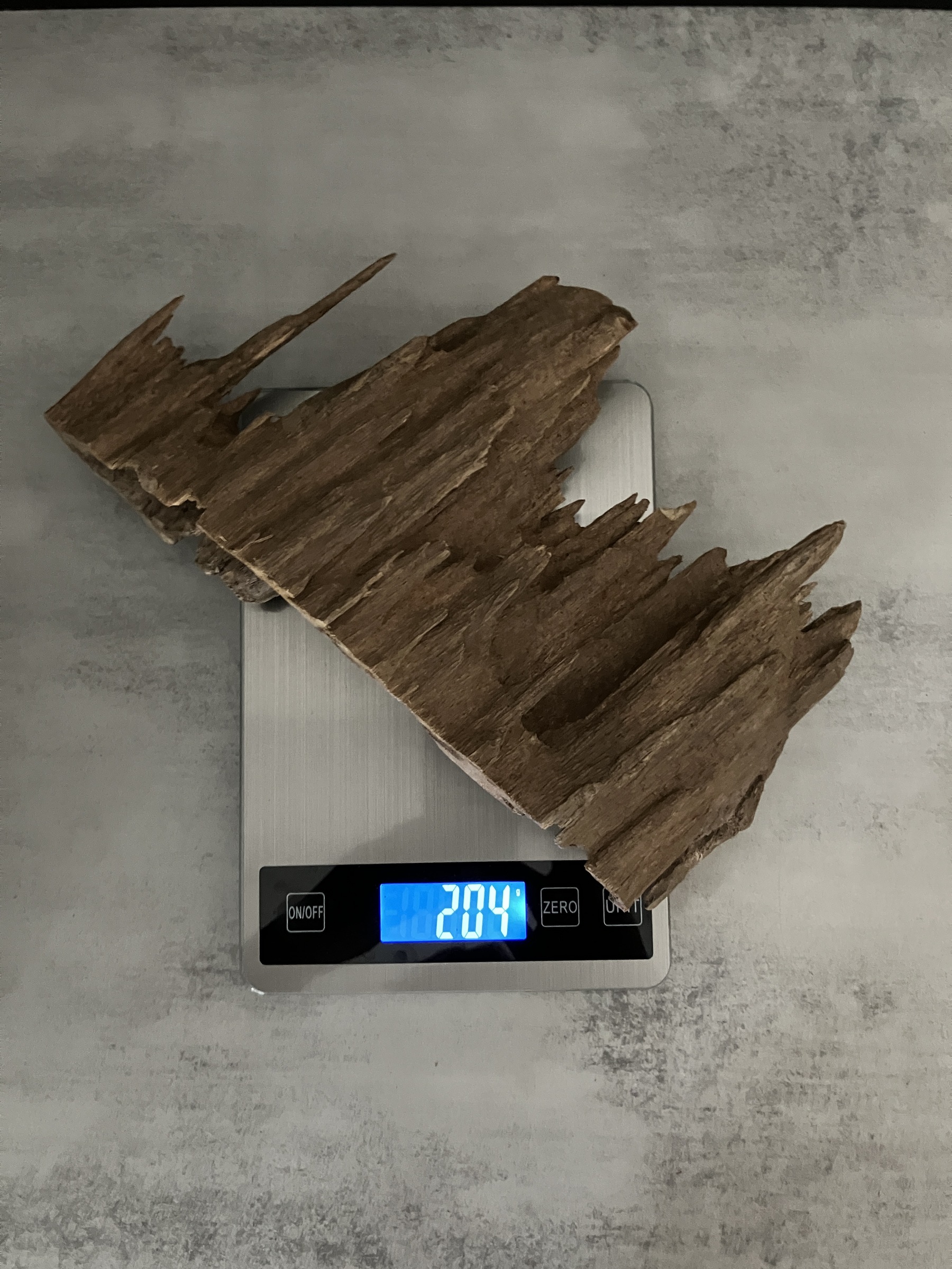 image_EA881F57-1823-43C5-80A0-A8D184335E76_1762932536