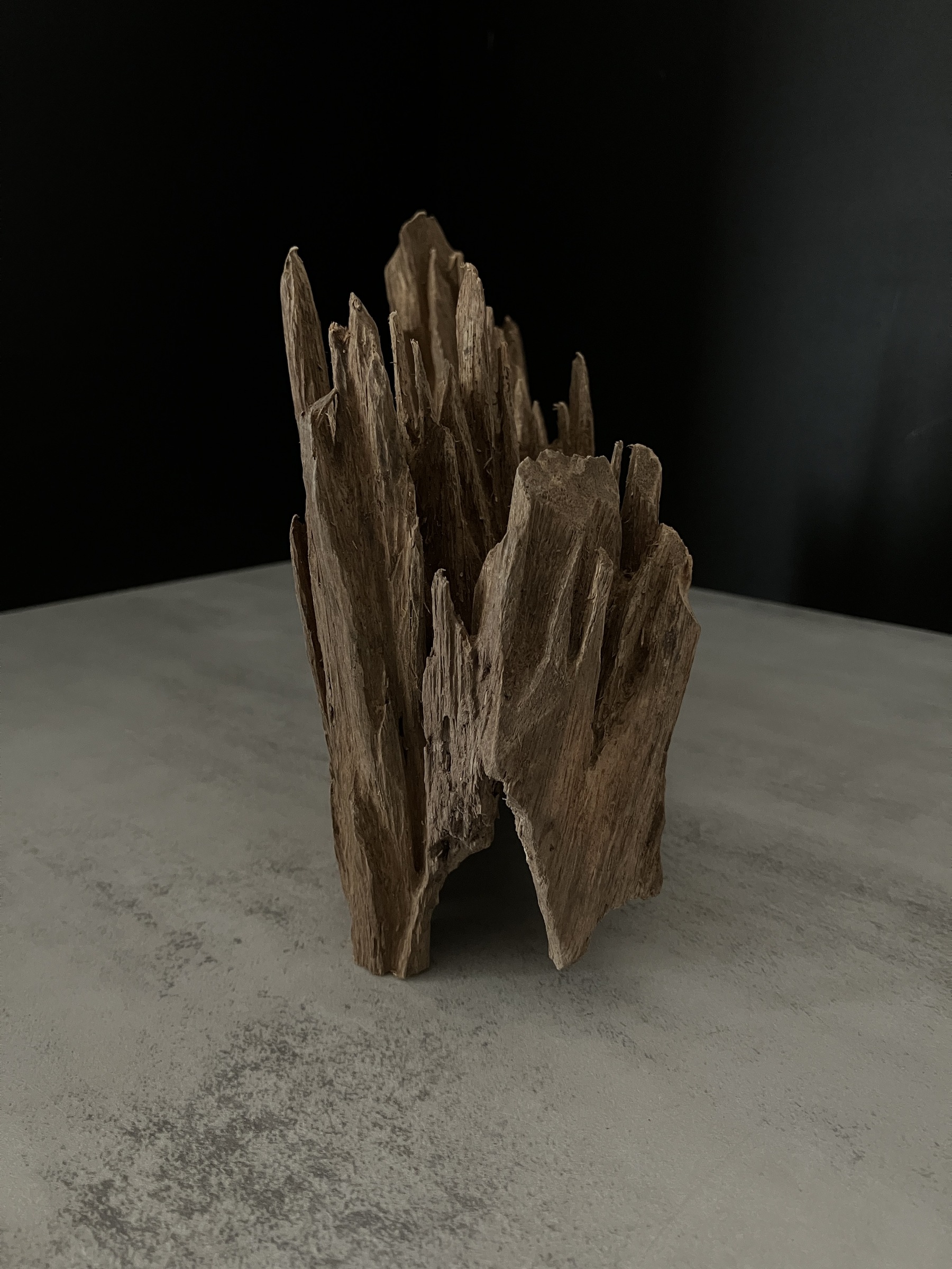 image_1F6E7A26-6243-40BE-9BFF-194E8422EC05_1762932536