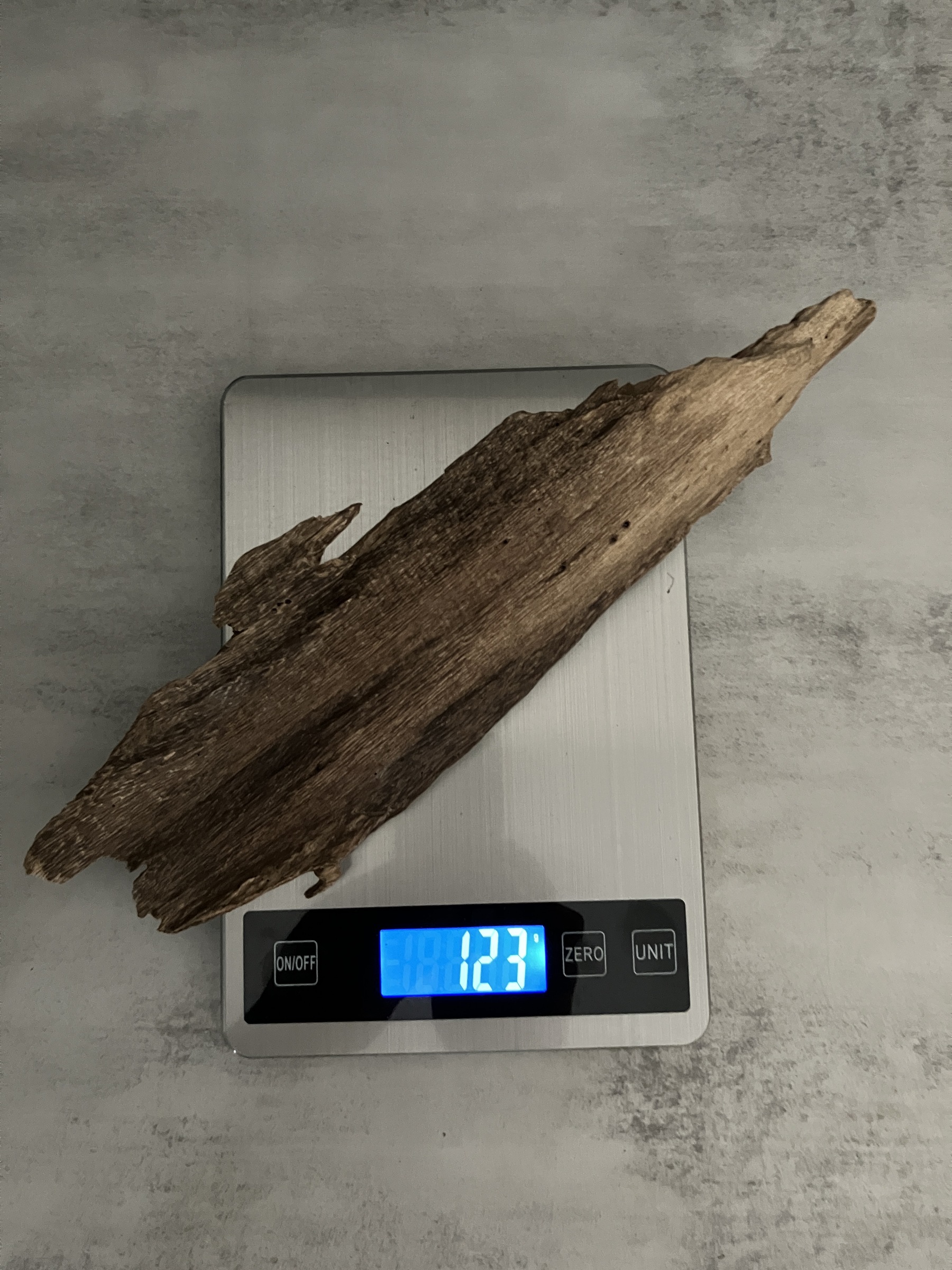 image_A87E7580-BBE2-49D7-8A8E-AA42D4D8FB53_1762932639