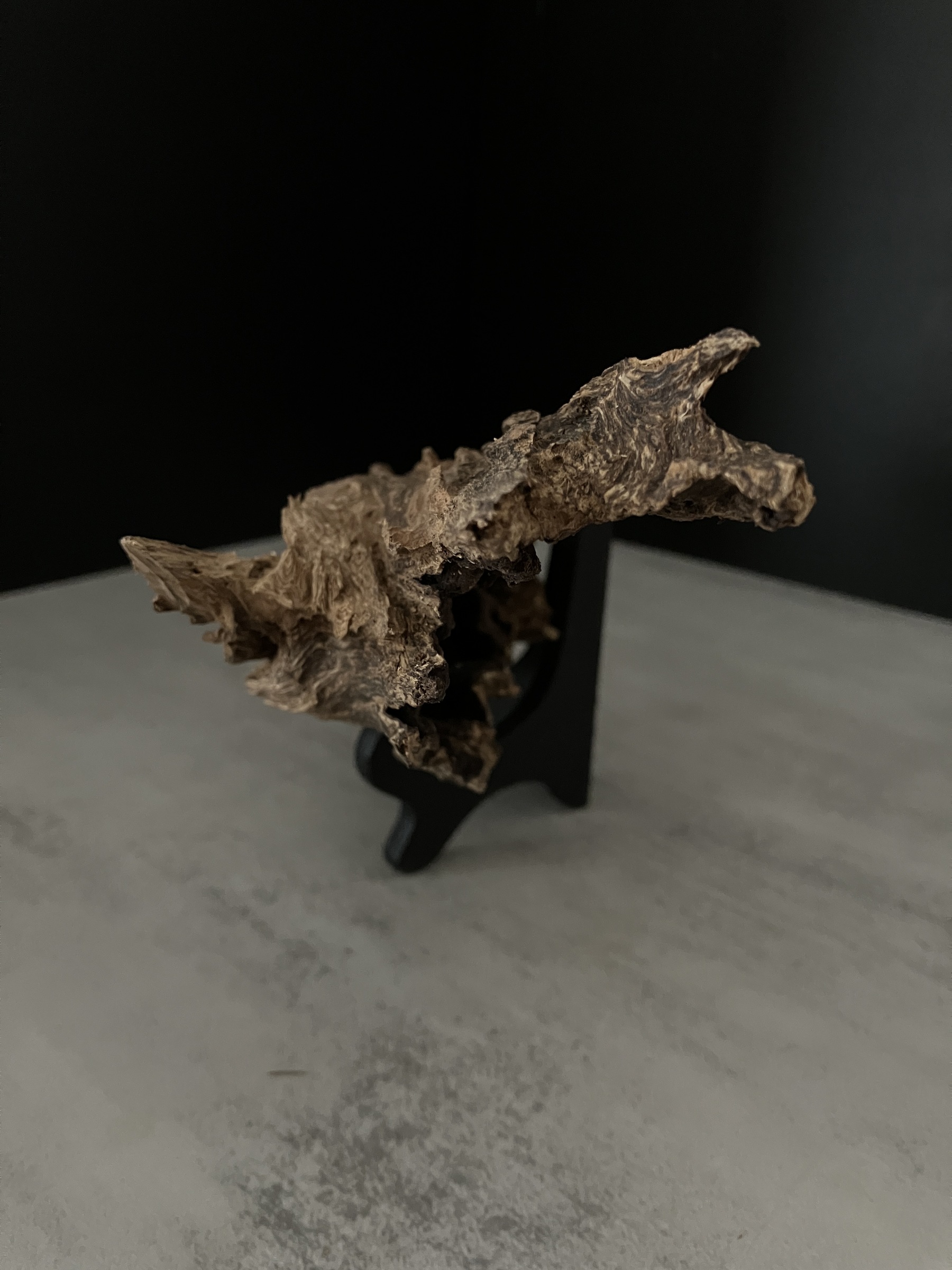 image_6D1ABE0B-A483-4011-8088-D8466F22CA53_1762932748