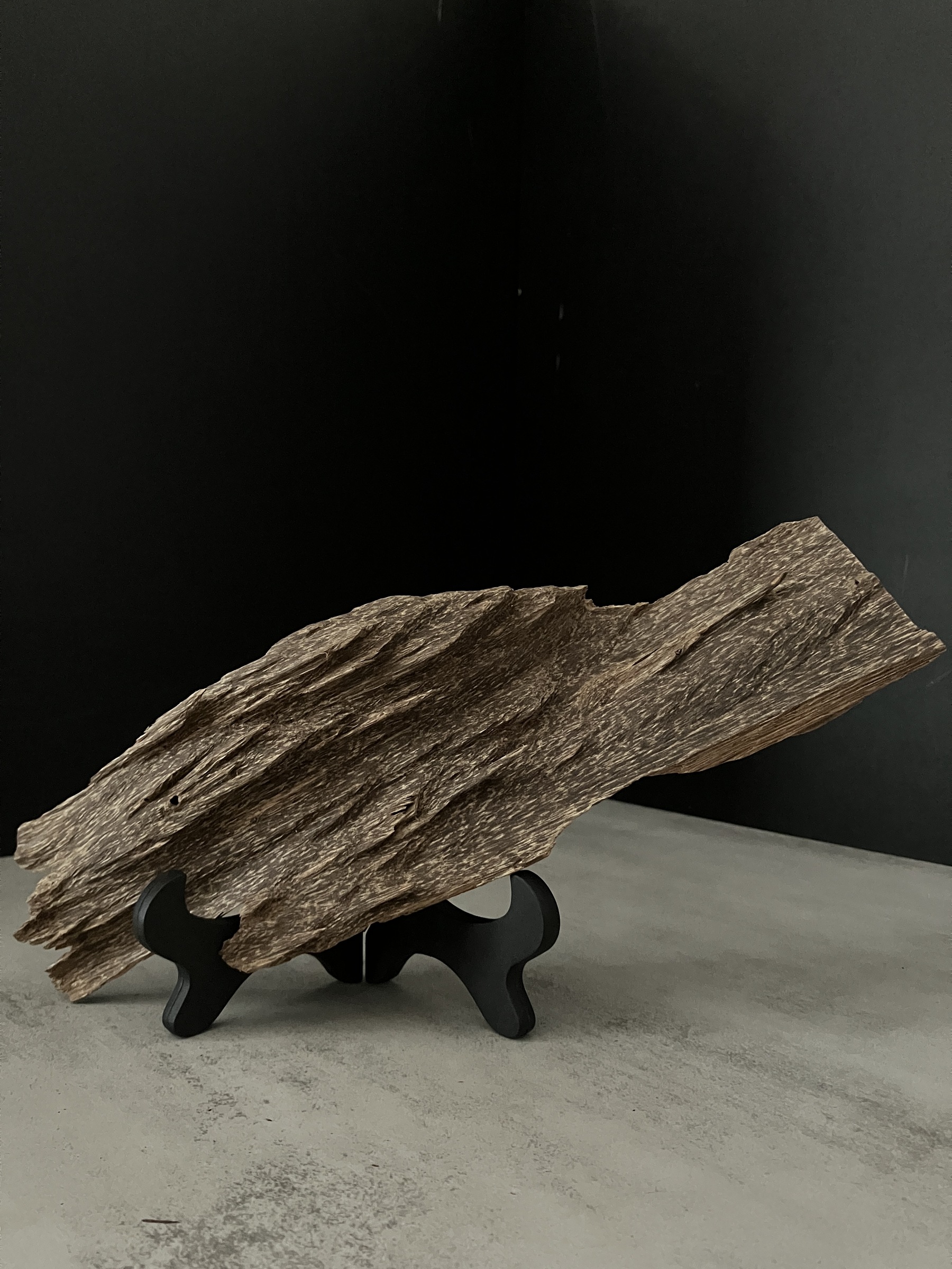 image_4CEA9A64-893D-4BF7-8EF4-79C5763B1DD4_1762933126