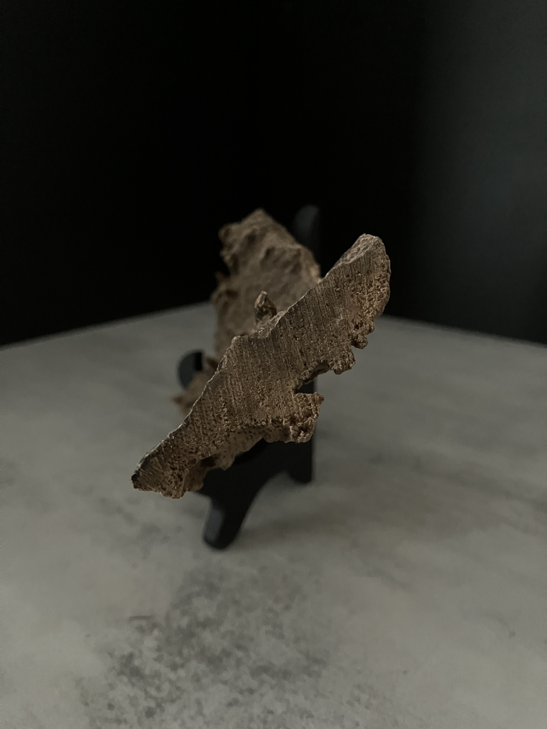 image_AB723412-4F34-4FA7-8154-AFD21C24A334_1762933126