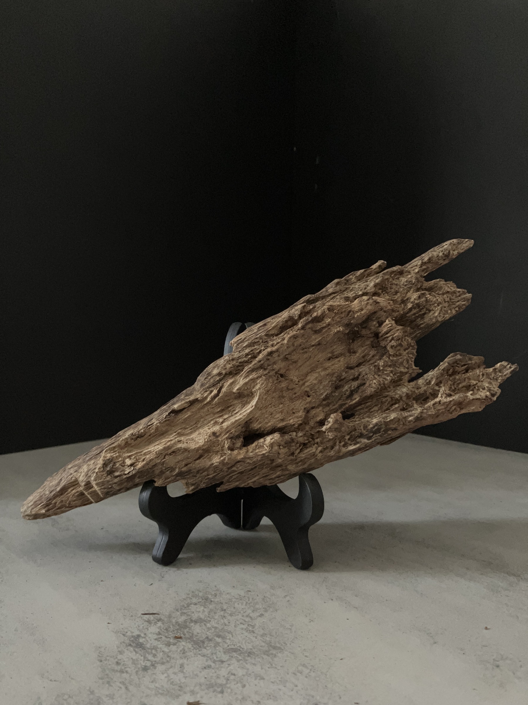 image_91744675-480B-4DF4-BF31-369E9296EBE2_1762933380