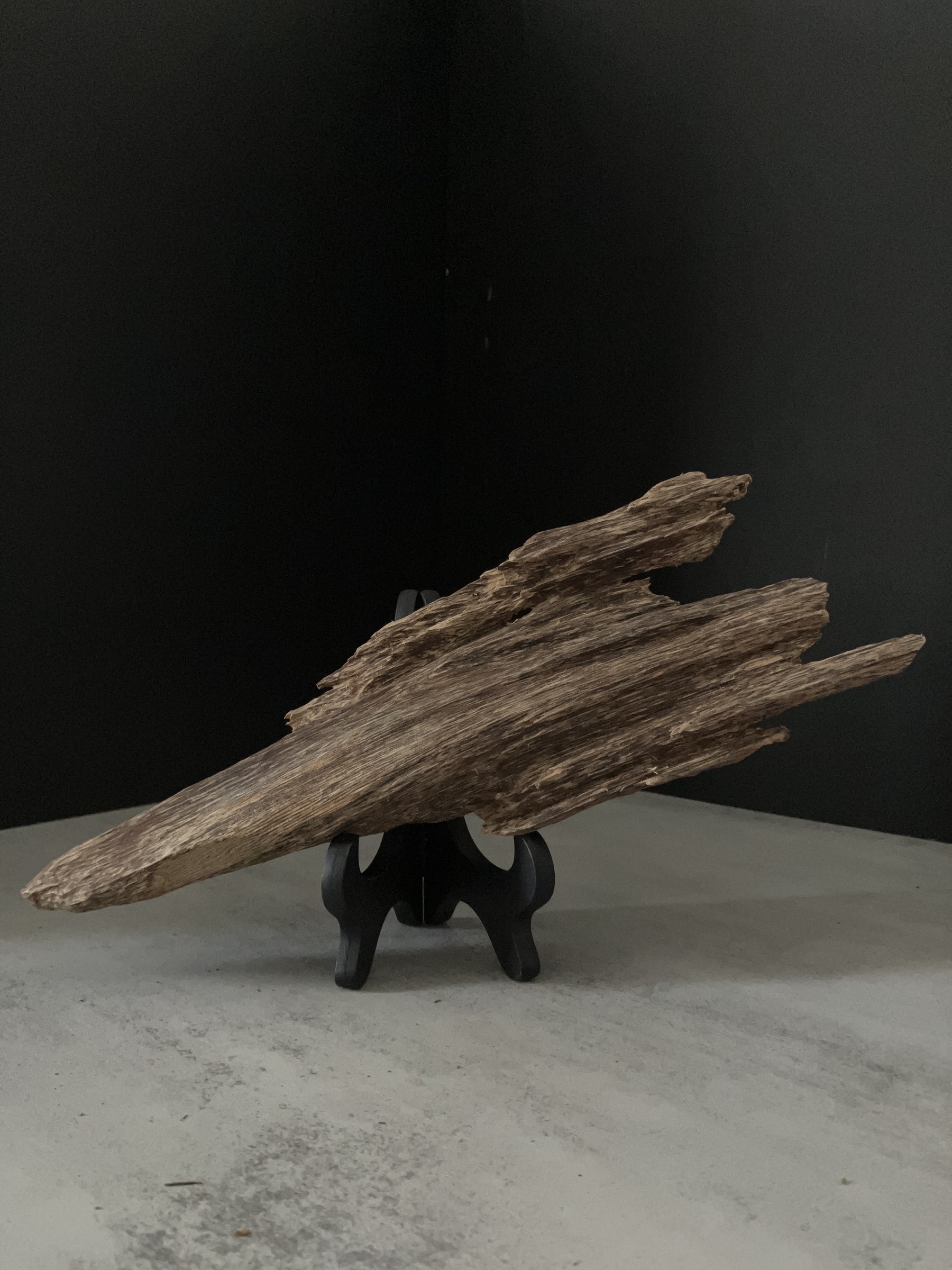 image_72AB0A5B-987B-4AAE-90B7-0ABF99F0565E_1762933380