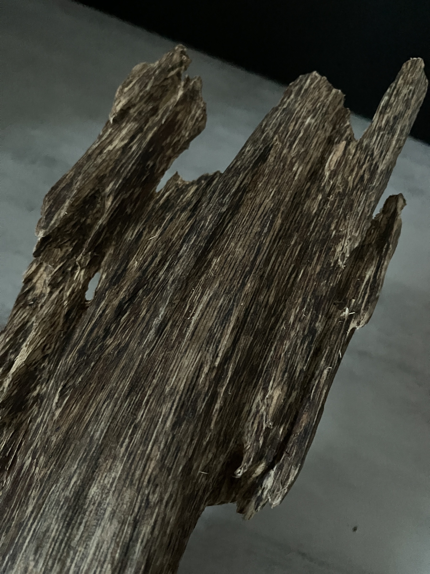 image_FC0CB957-502B-40E9-BEB2-360C3854F0FA_1762933380