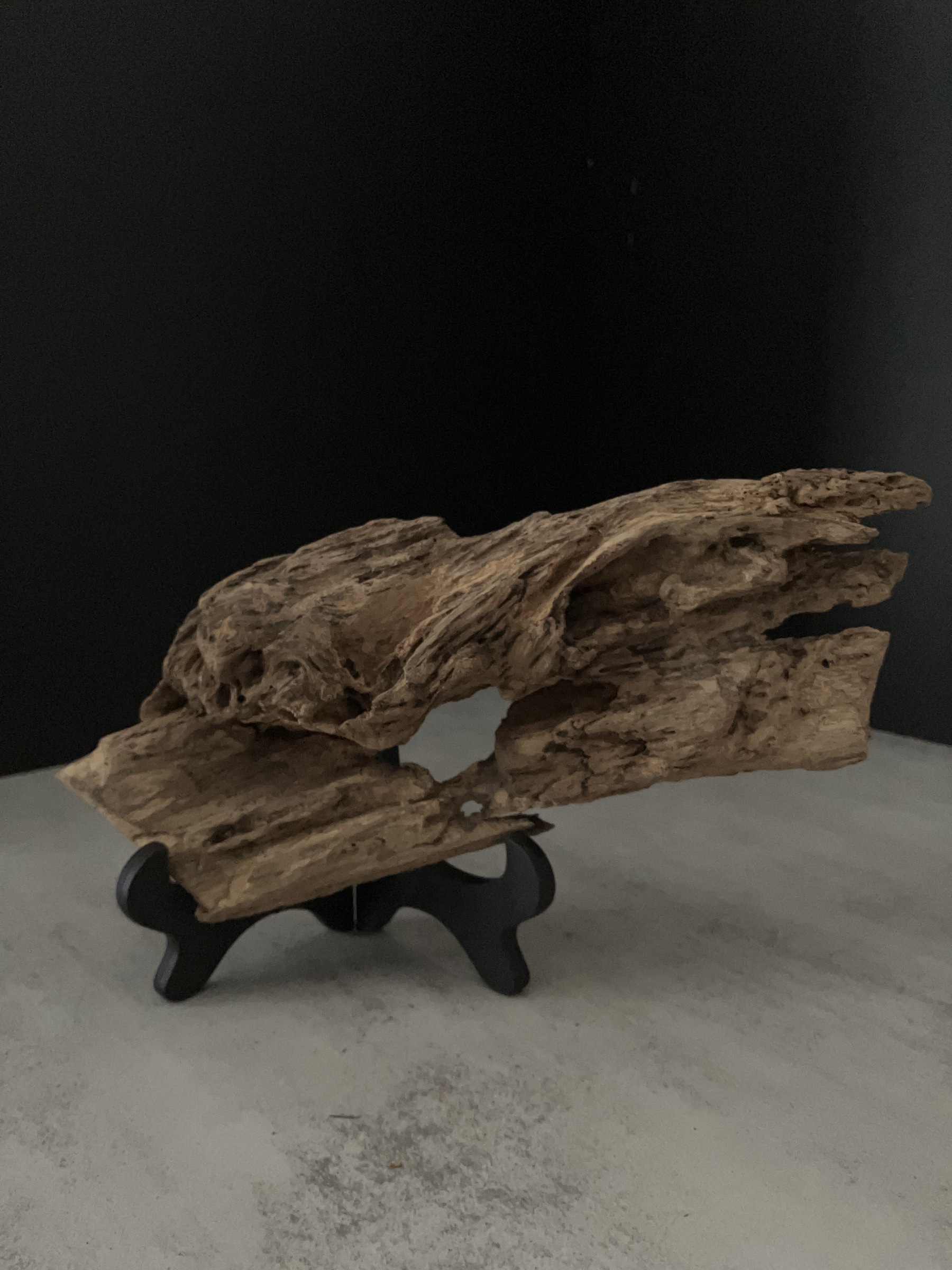 image_D91EEFA1-96B8-47F8-9740-5A42EF72D942_1762933450