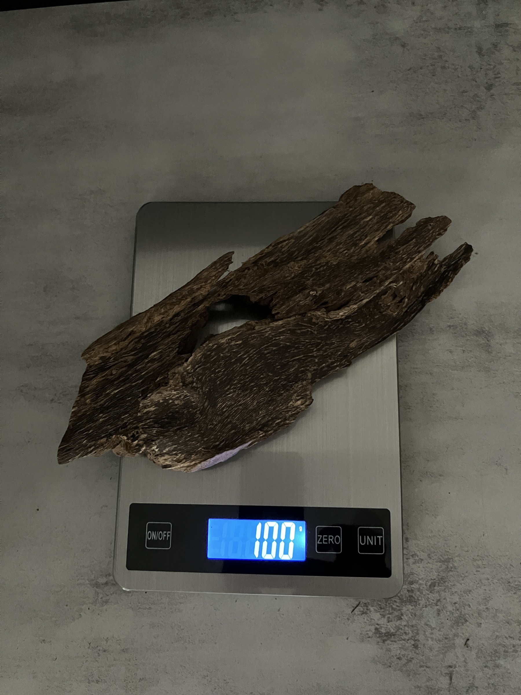 image_8CF7873C-4EFD-4842-A762-88ADE1A5393E_1762933450