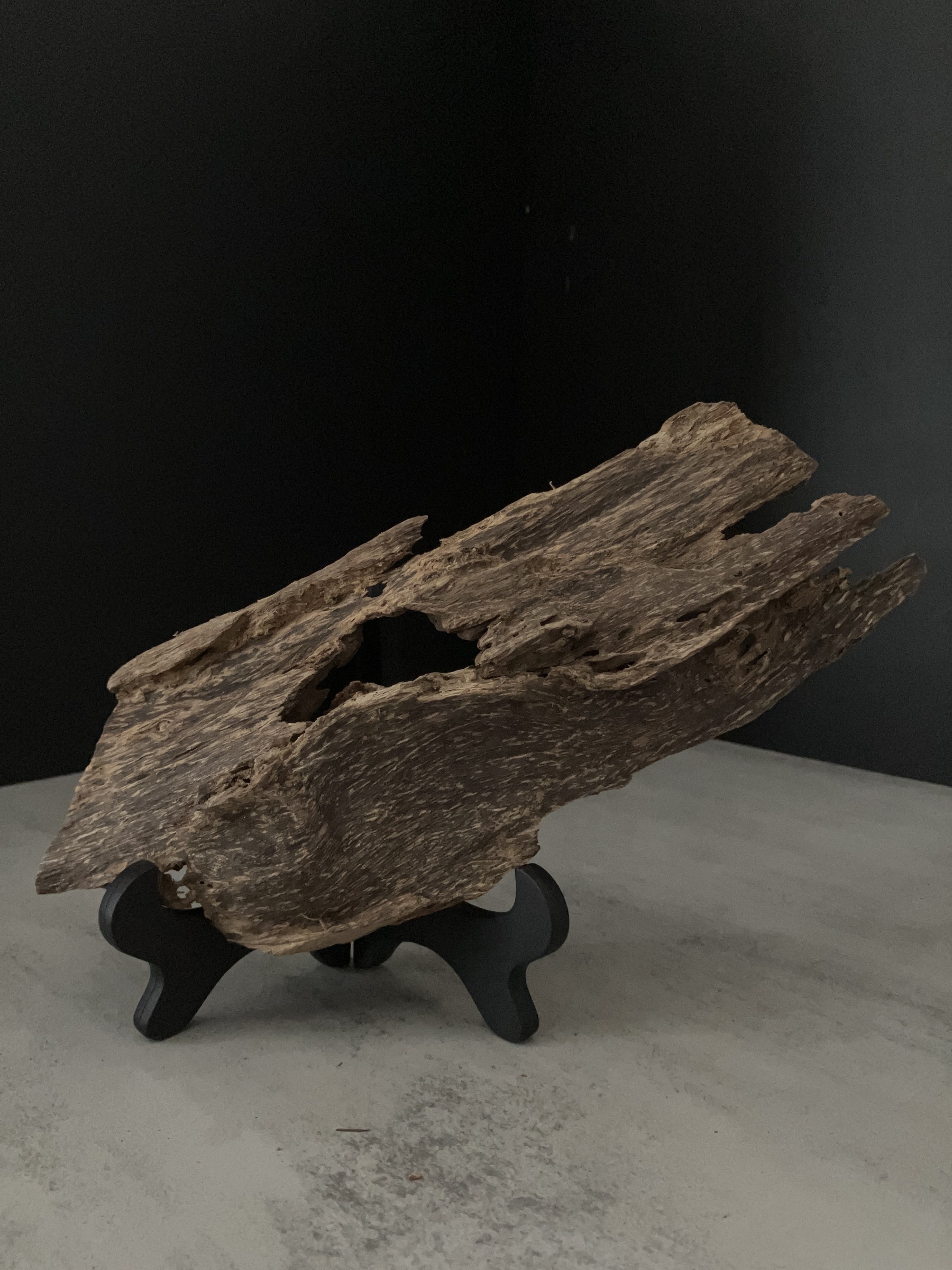 image_87A6AFCE-69C0-47A6-8F44-65DDCBEB7F0F_1762933450