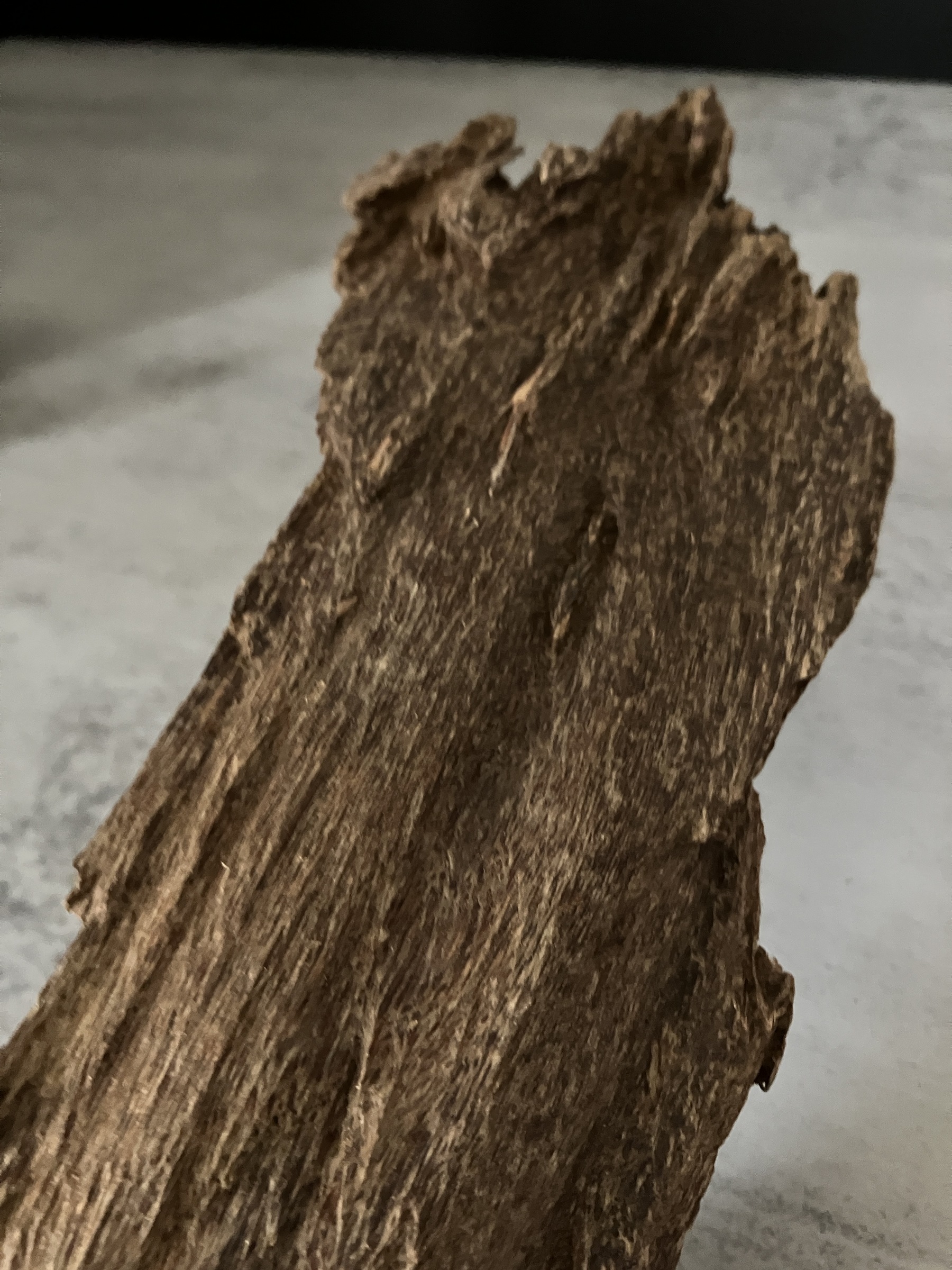 image_9235B4FB-B802-4342-AA5A-A875C23861E9_1762933637