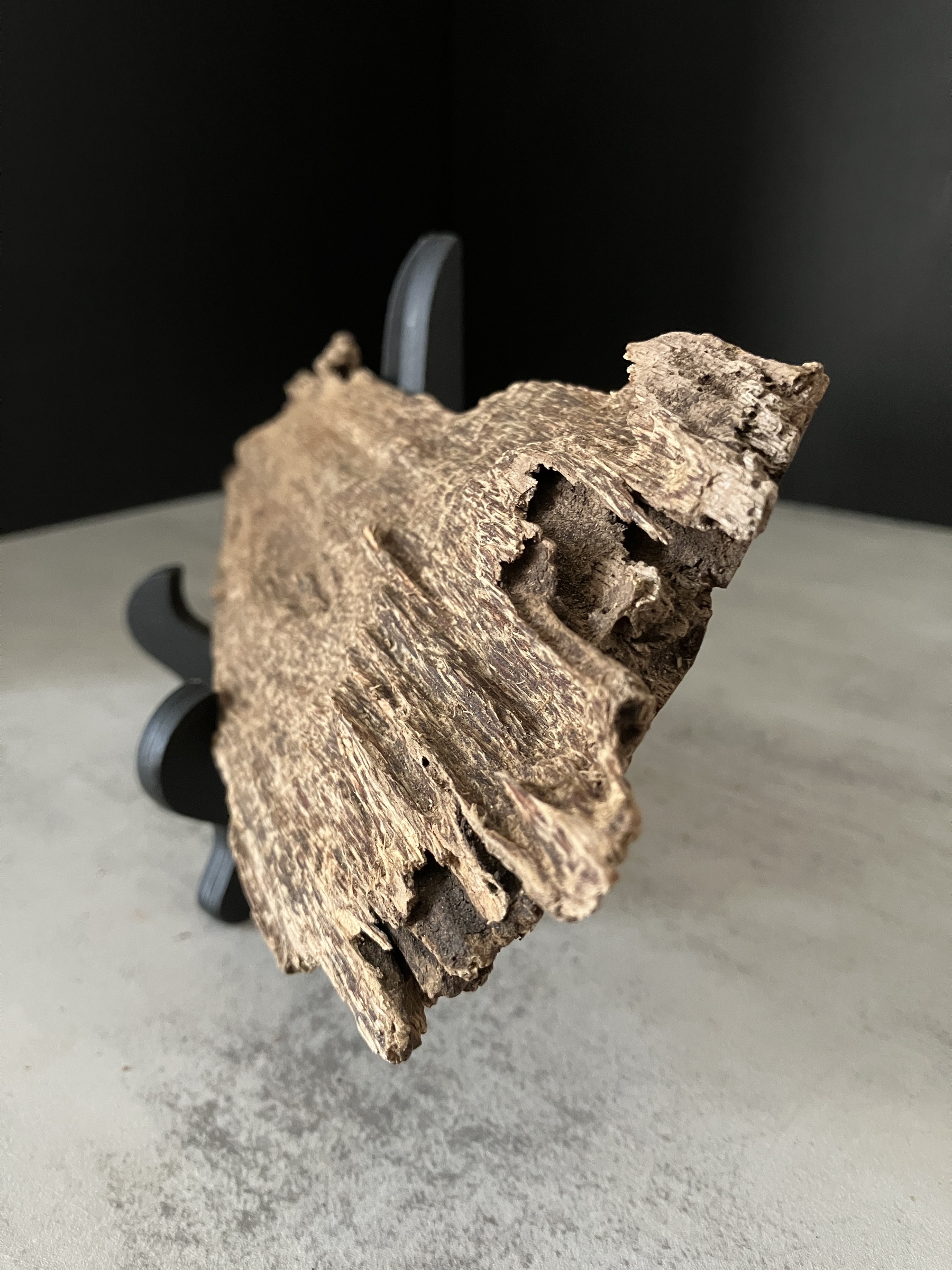 image_FE599D3A-FD2D-4731-87EF-7DBE12F564C1_1762933637