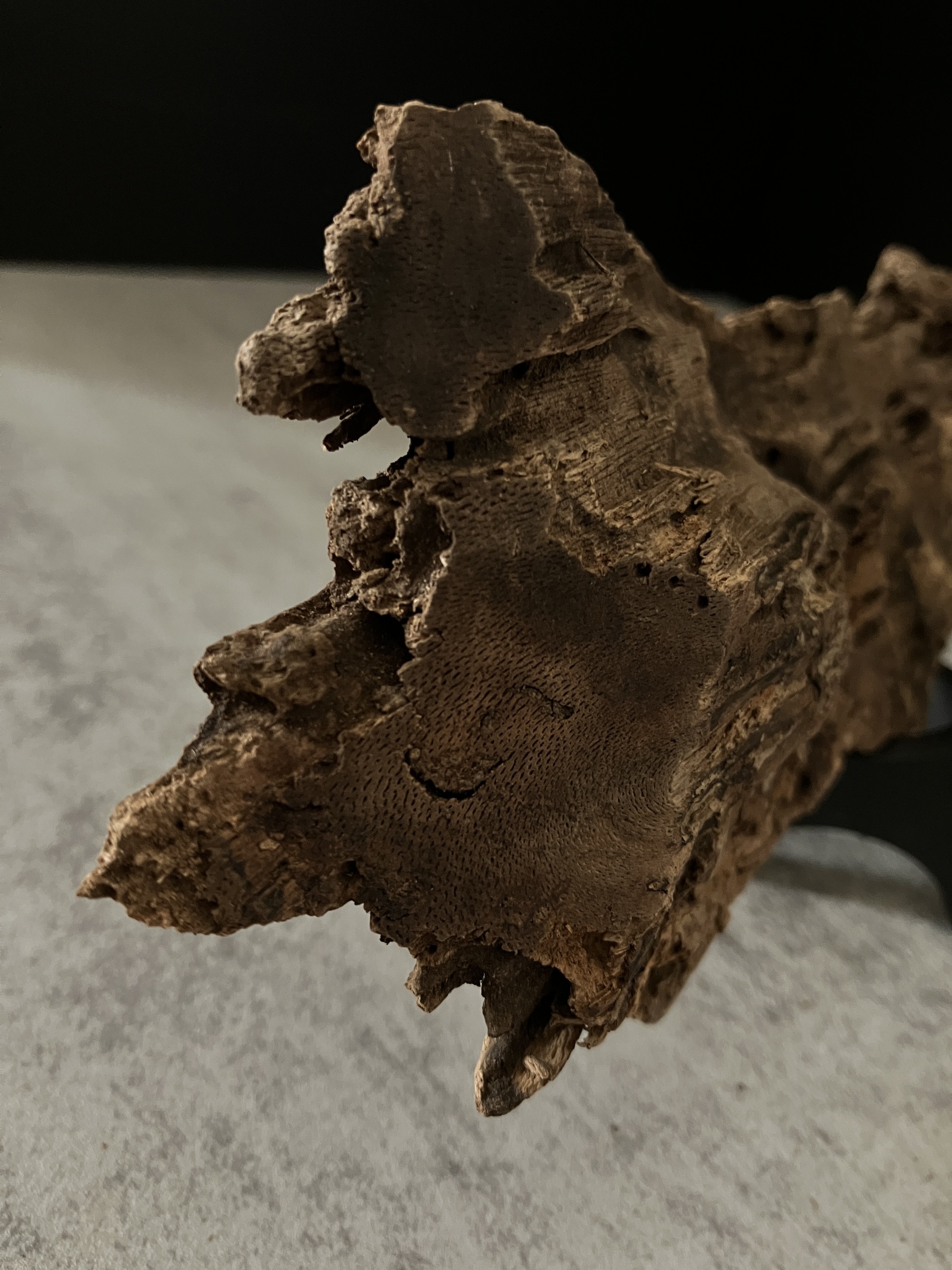 image_486E1058-EFDF-4AEF-8889-3320F953EC1E_1762933637