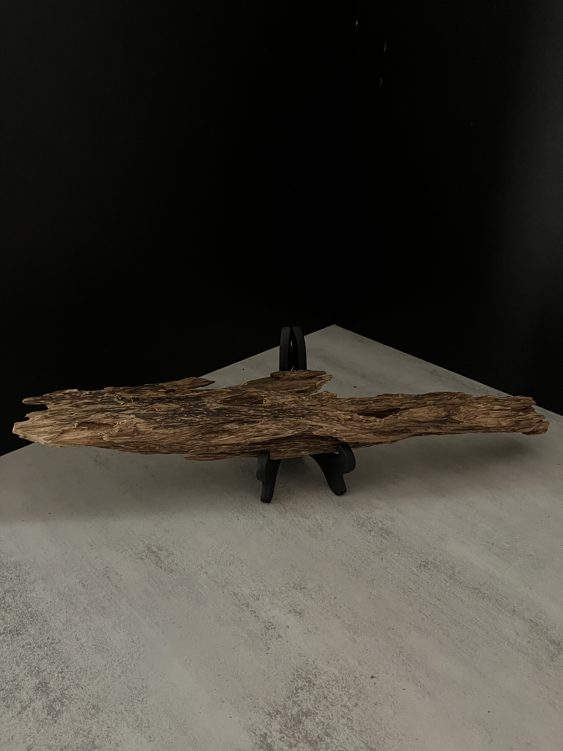 image_121A98E1-E2A6-4ADD-A2D5-7CD4D3939675_1762933737