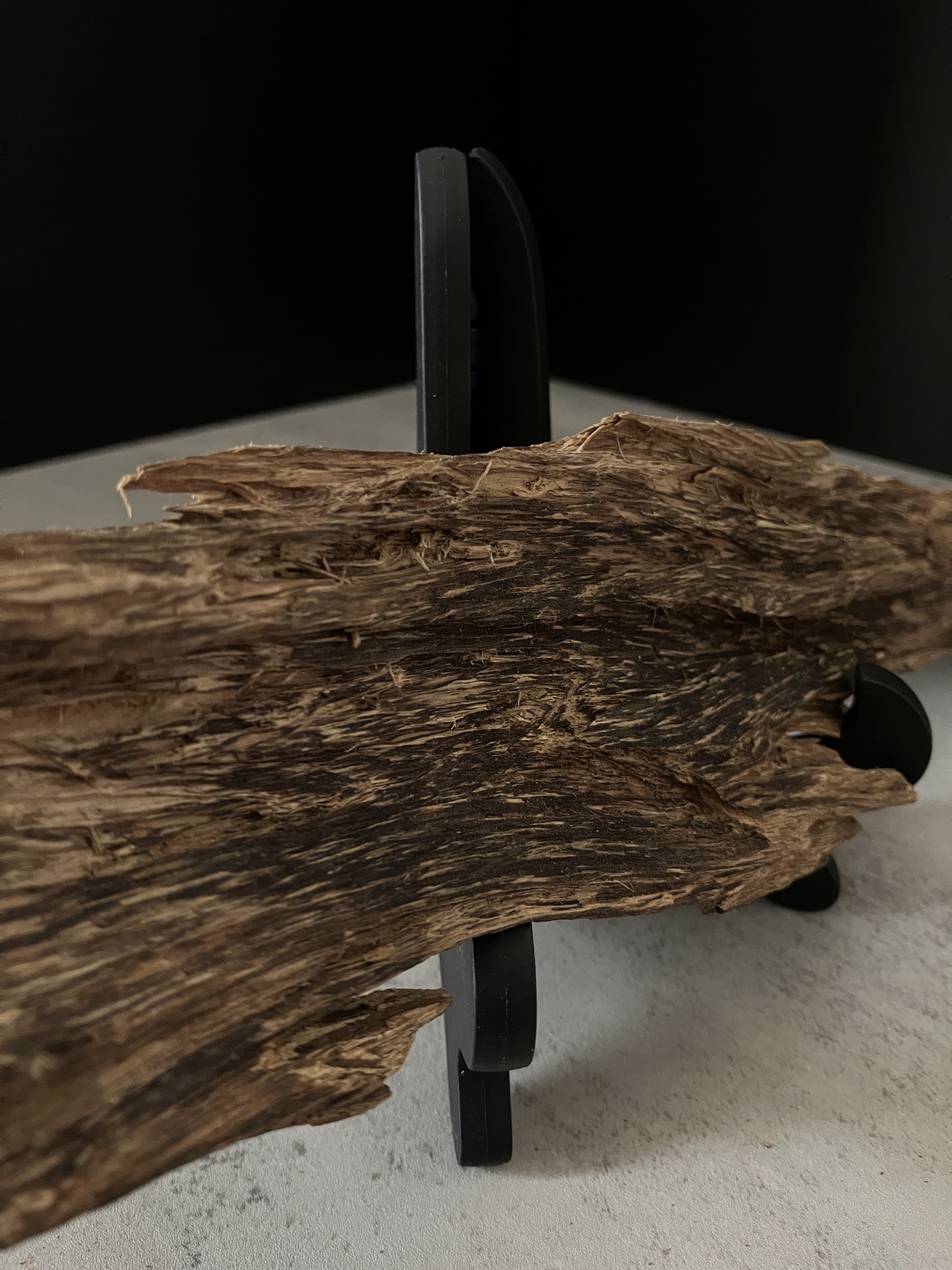 image_BC2F1C45-EE02-4EA2-B675-610EB6C6F841_1762933737