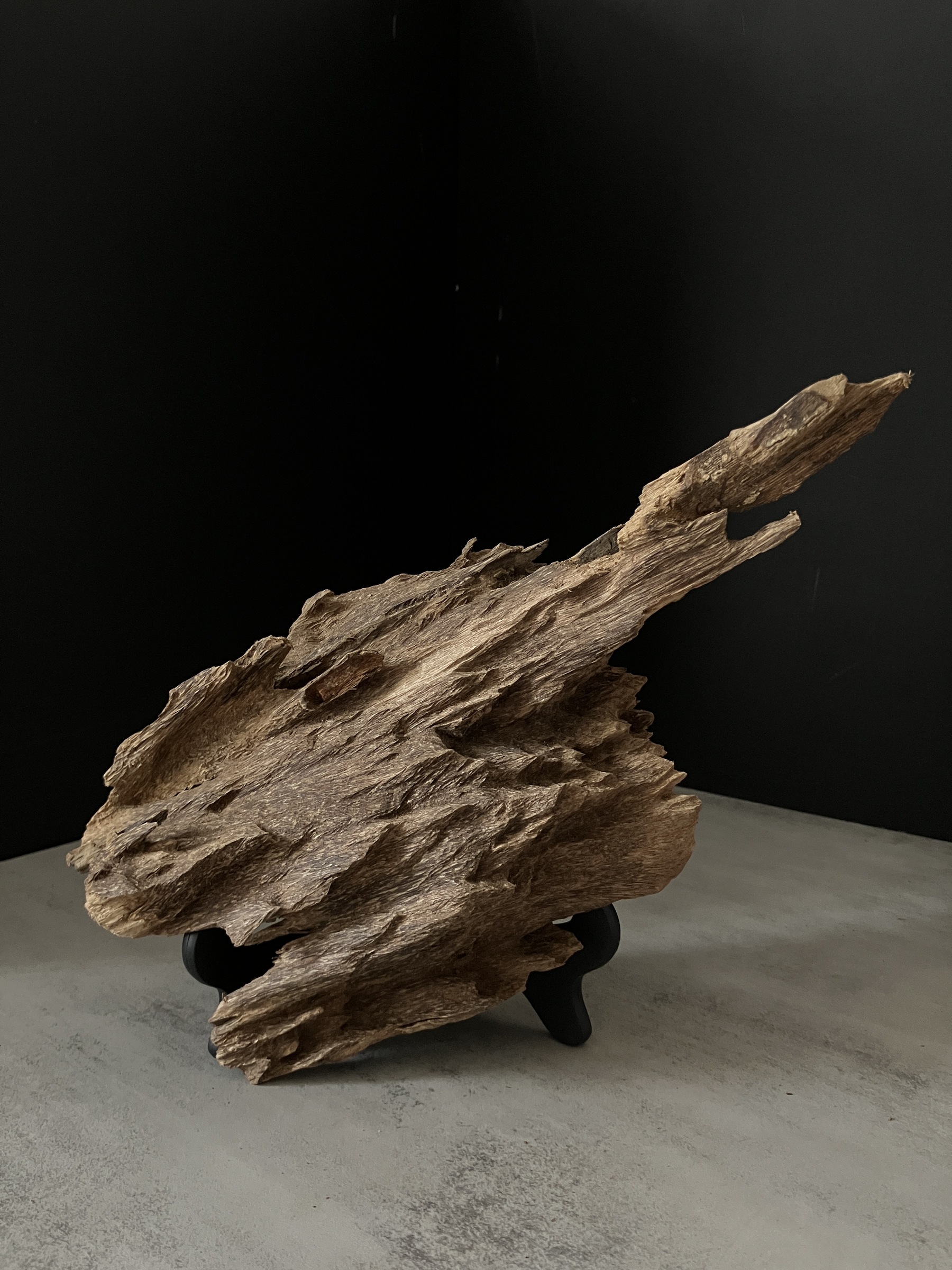 image_139D2333-40CB-4423-AAA6-2E5F5DC331C1_1763450228