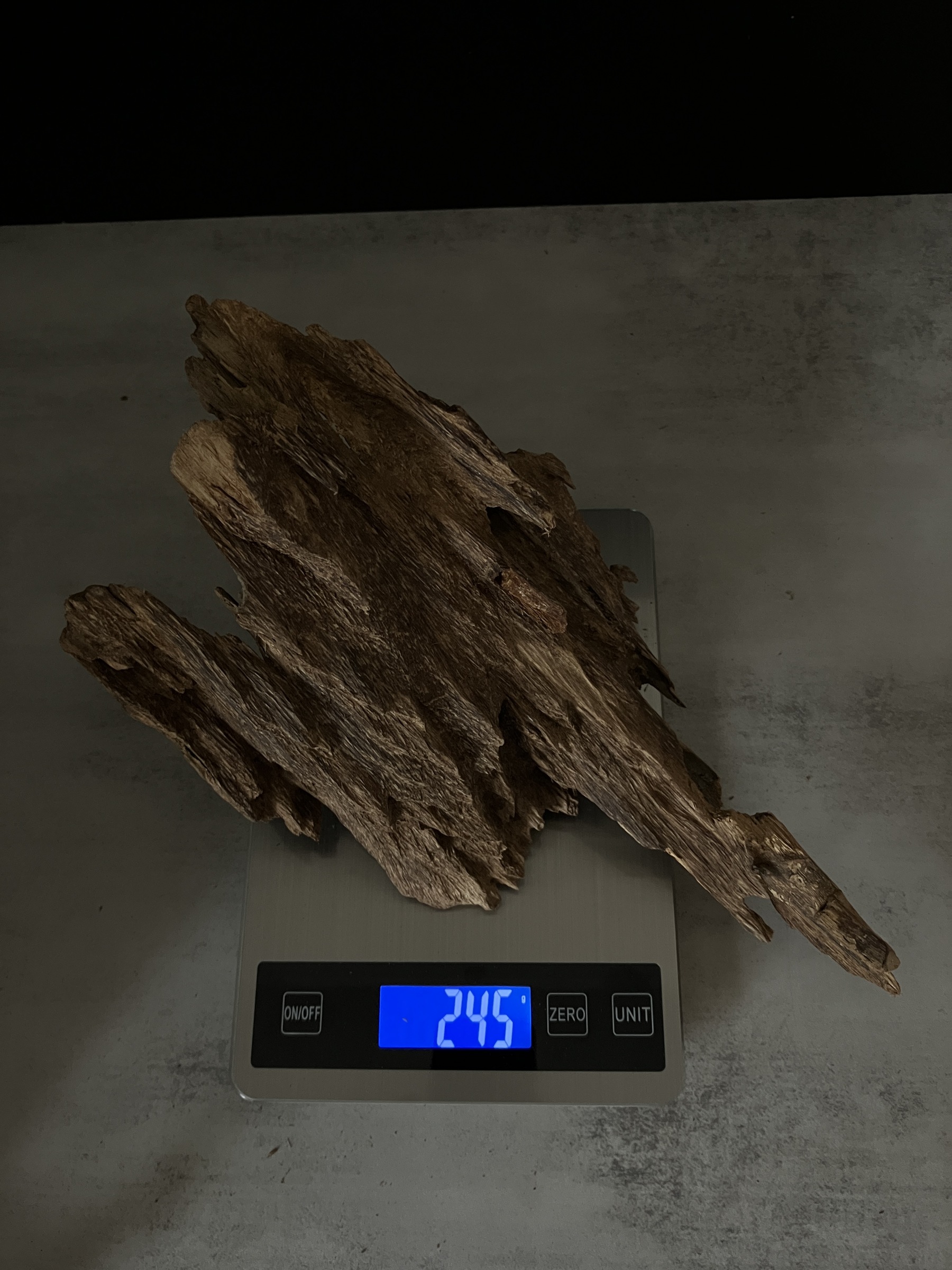 image_27730B6E-8759-4511-98BC-D734C640F961_1763450228