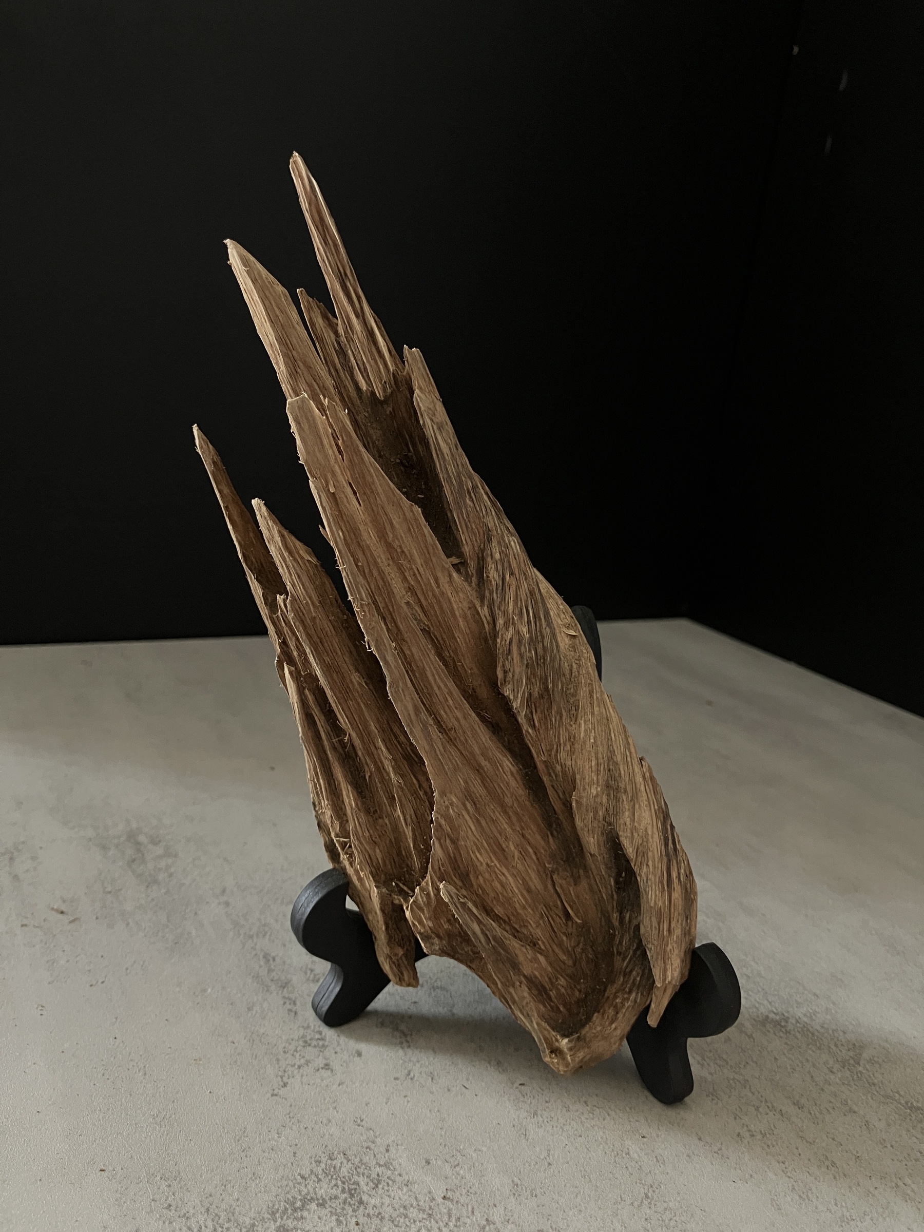 image_7B16D4DD-8E52-4B82-8E57-C40722FE953B_1763450324