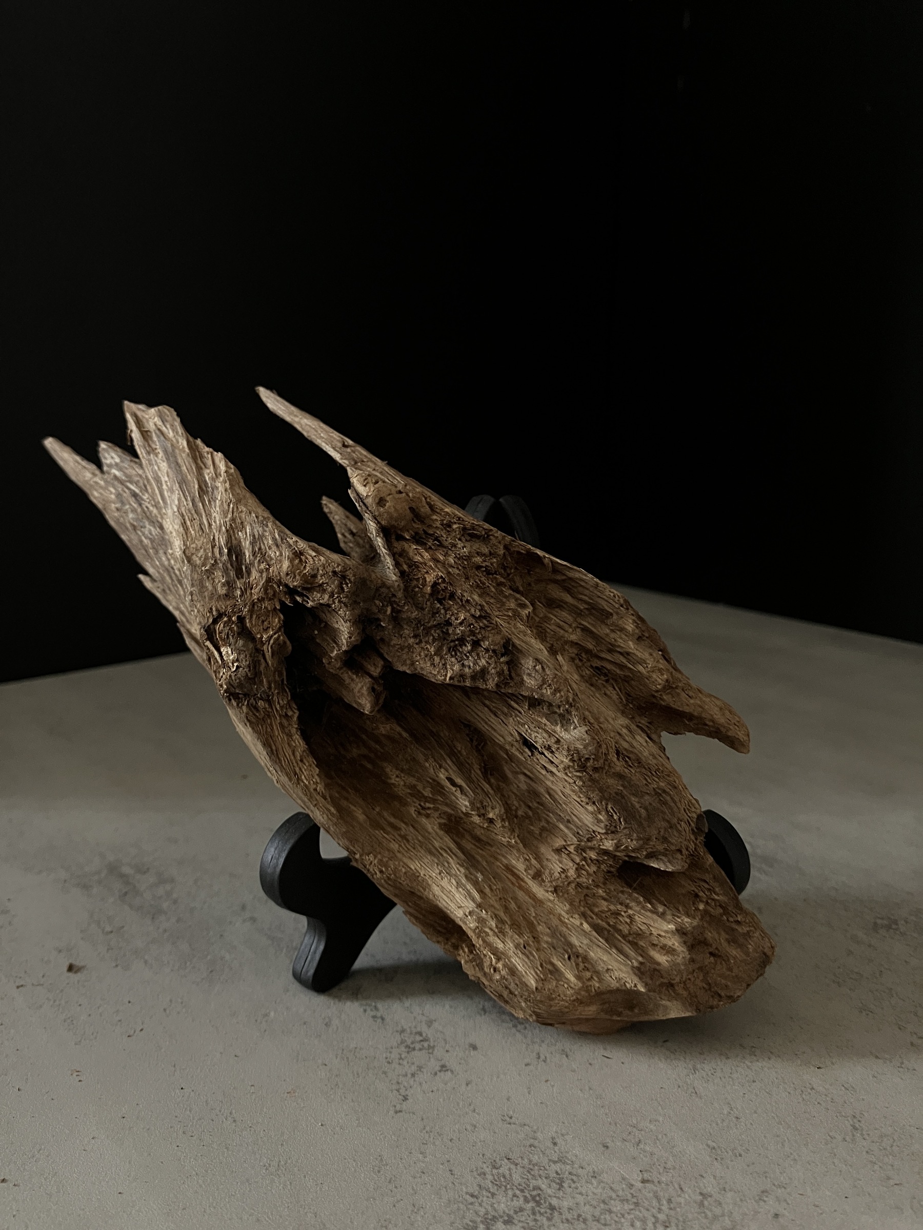 image_DA878223-6DC9-4CAC-9C20-152C42D7AAD4_1763450324