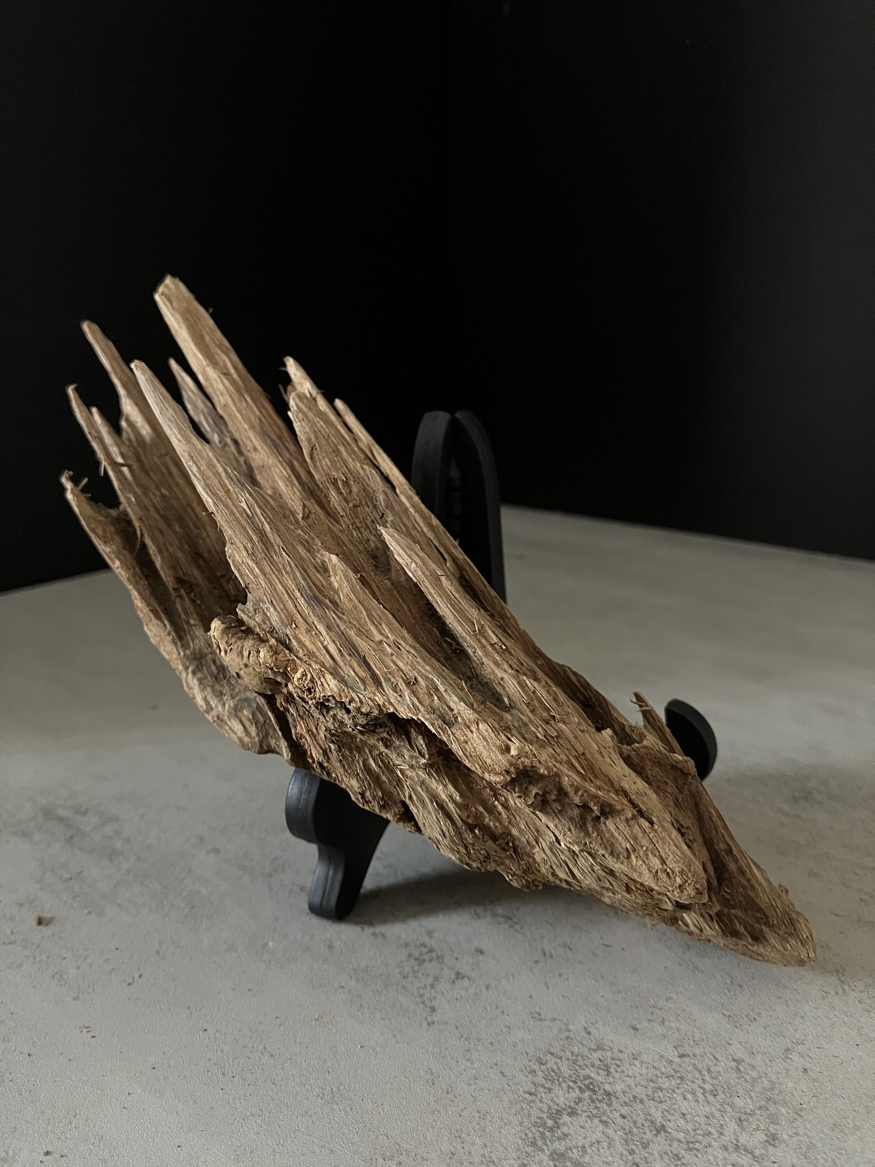 image_A92396DA-F150-4F88-988C-8ADA8A1D4DE9_1763450324