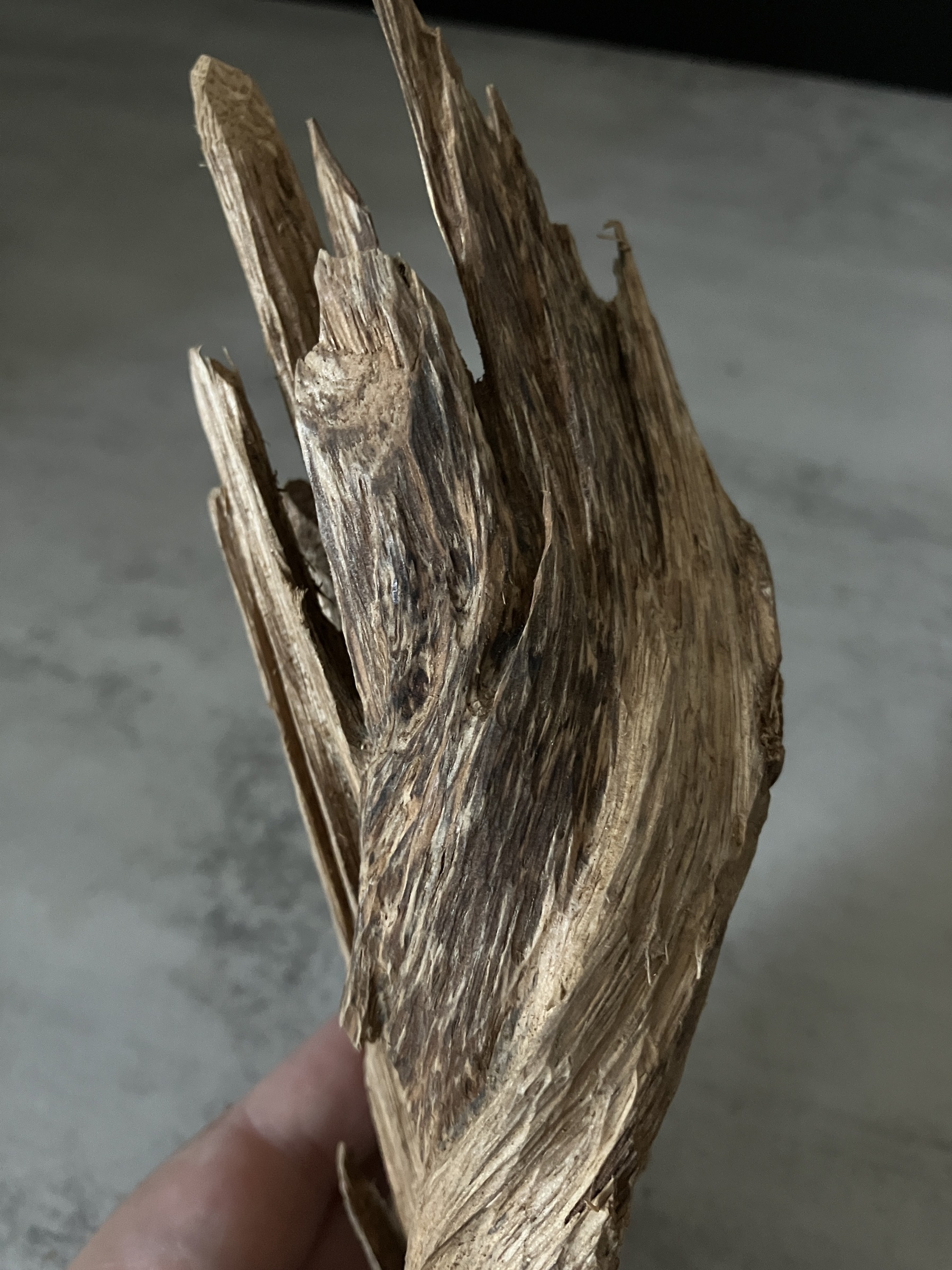 image_582375B9-EBDB-4757-814C-347D3B238ADE_1763450324