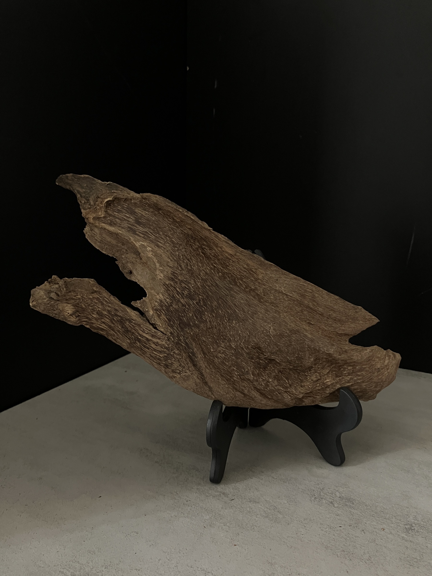 image_74F377A5-DFB3-4715-A81F-262ADC0C1FBD_1763450417