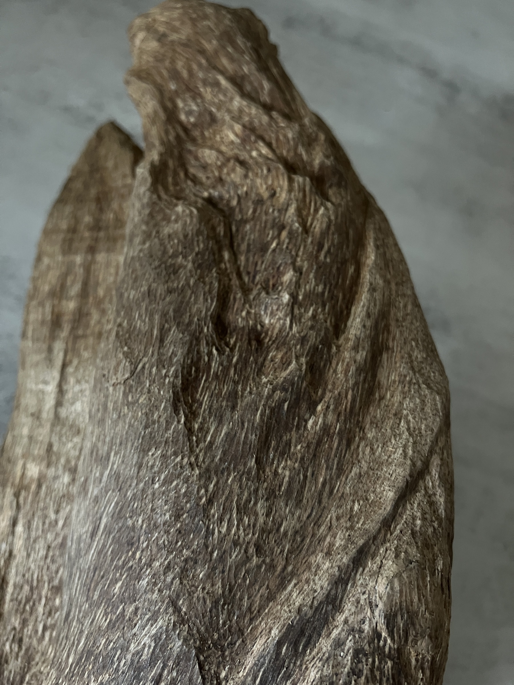 image_0EB60E5A-DC20-44B5-8CA7-255AA4DC7B5F_1763450417