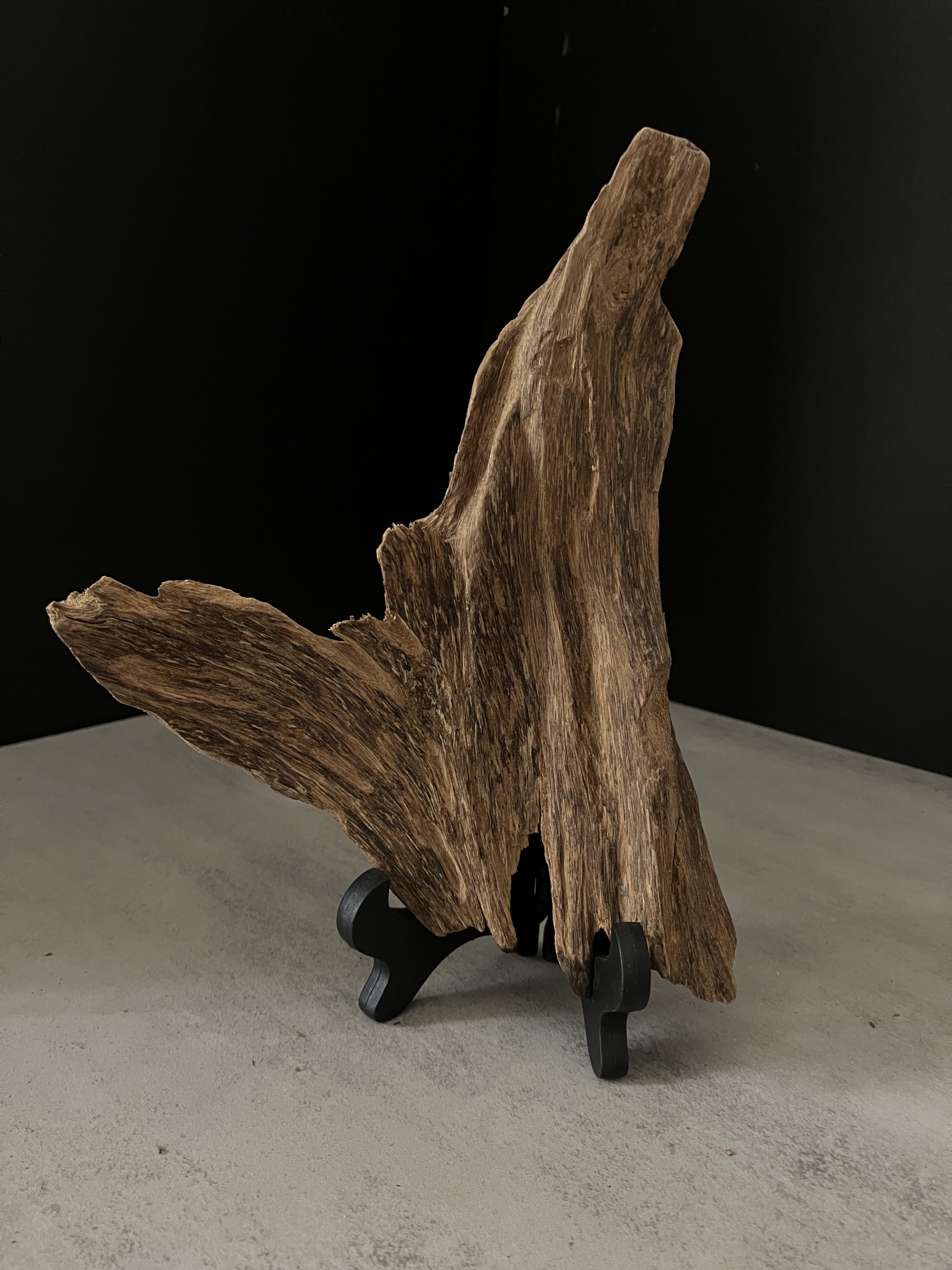 image_FD0F474E-692F-4B2A-AC24-B5E44B7F57F9_1763450501