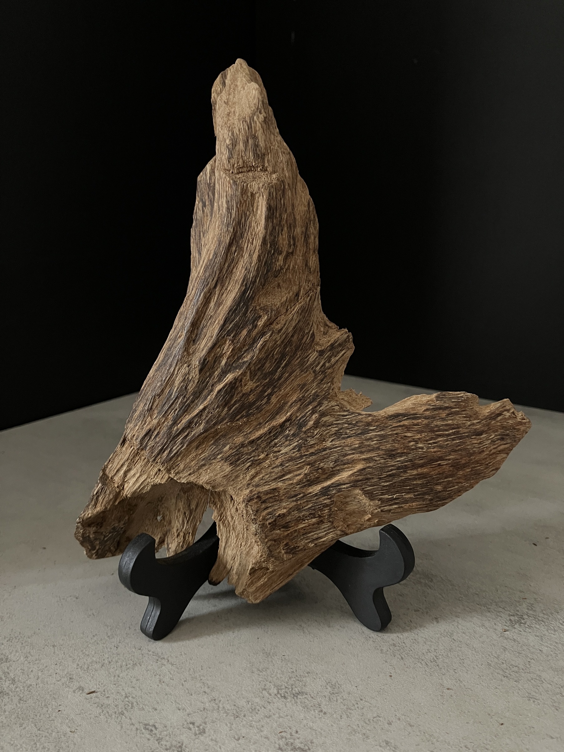 image_3A855D3C-8EDF-4609-8375-6E24050AB447_1763450501