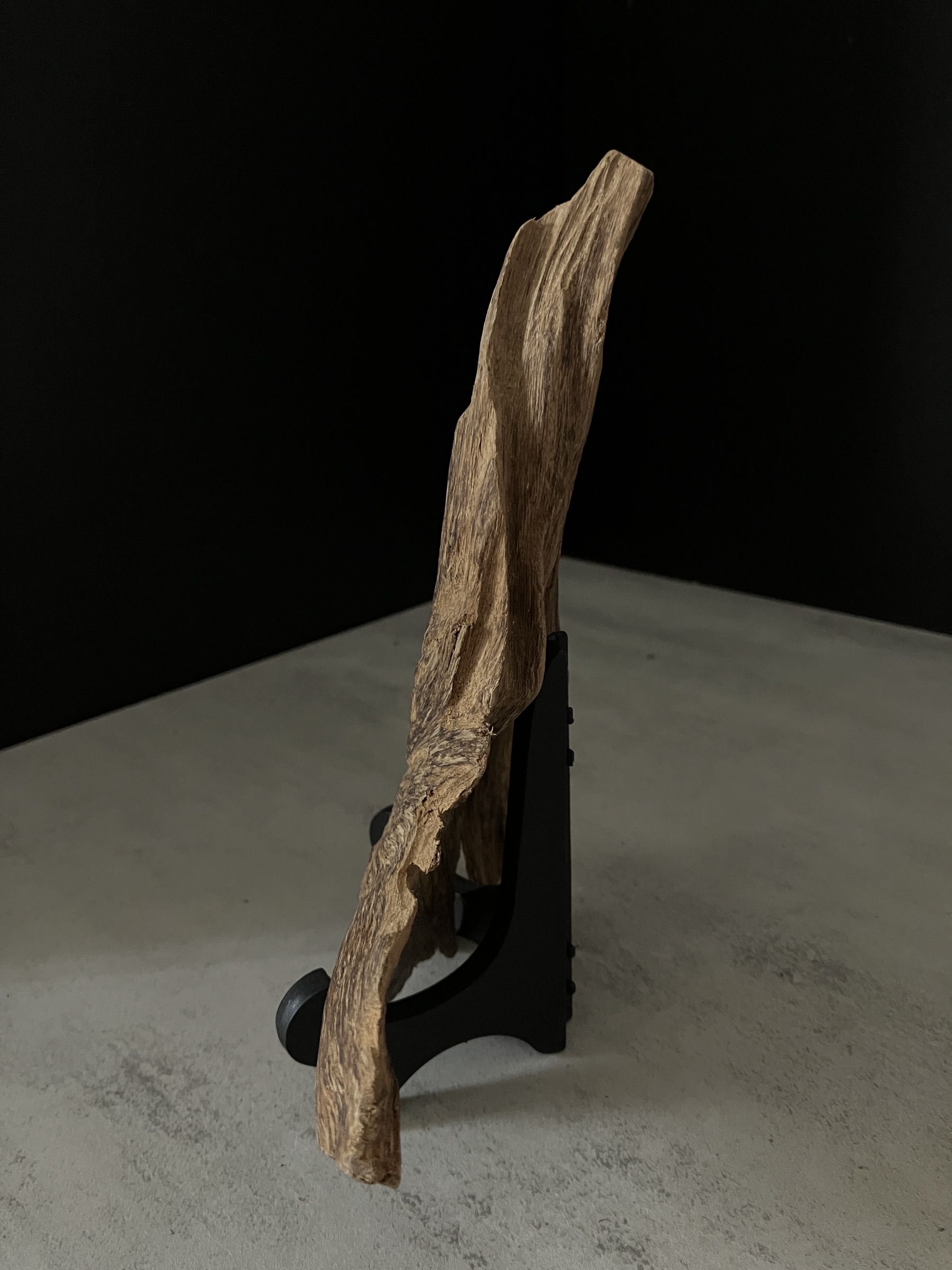 image_A788B9CA-BD1D-4C0E-870A-2A2DA3F009E5_1763450501