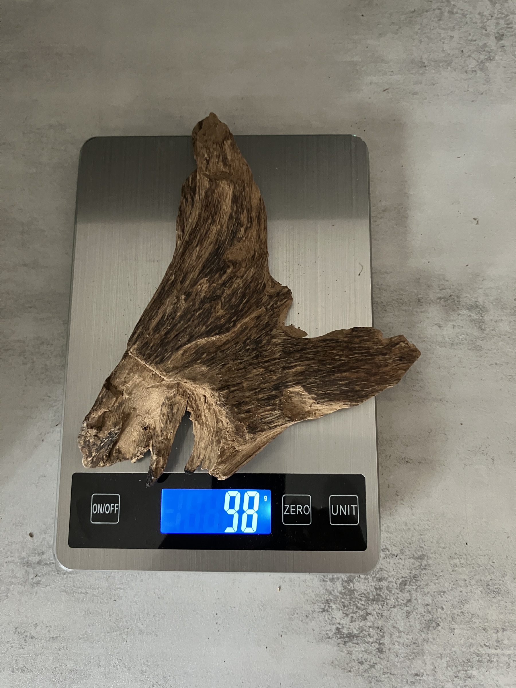 image_2FFB48CF-857C-4EFB-870F-C270EABB2470_1763450501