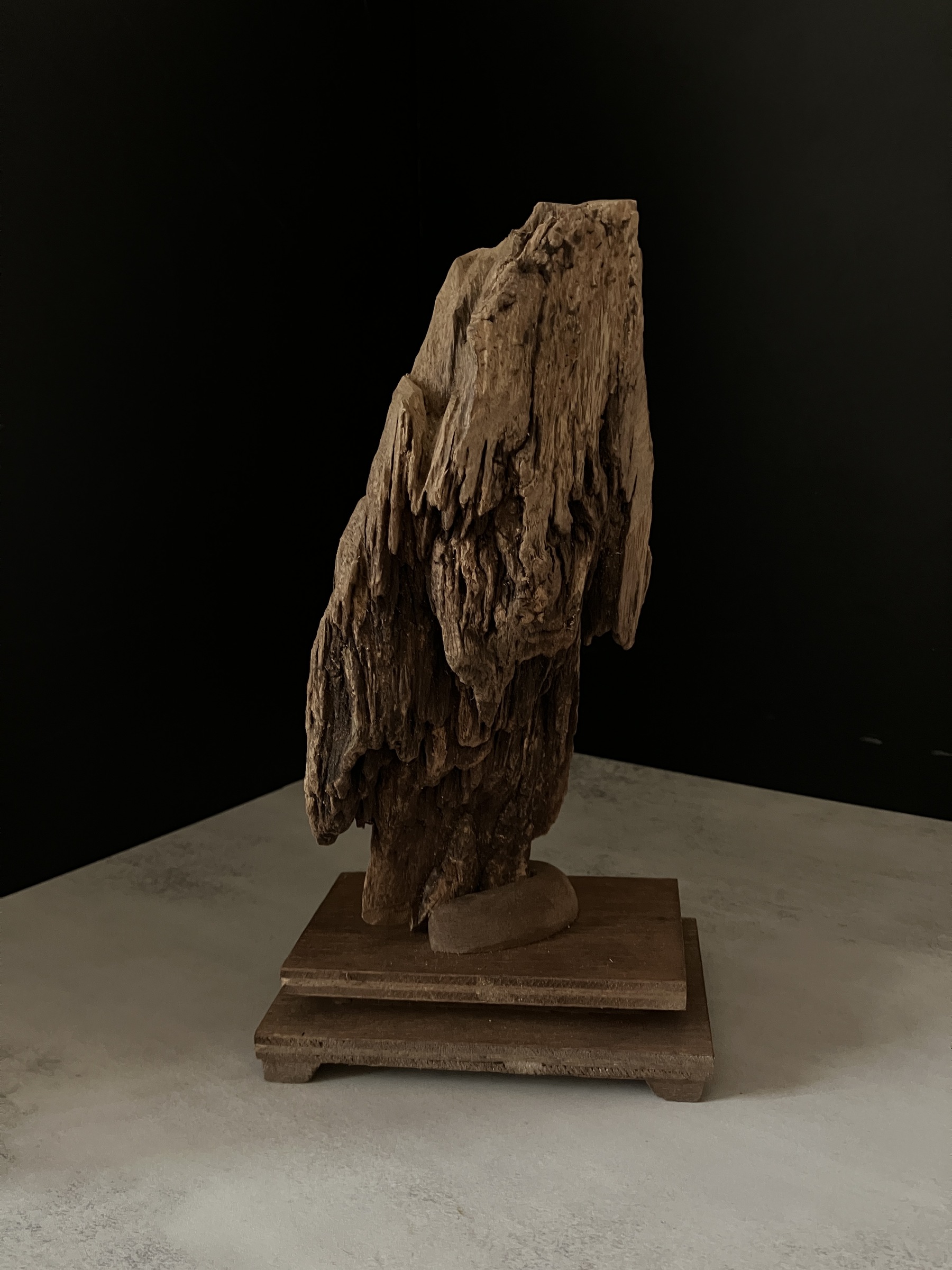 image_F8550642-0736-47EB-8856-8F7AE400B840_1763450617