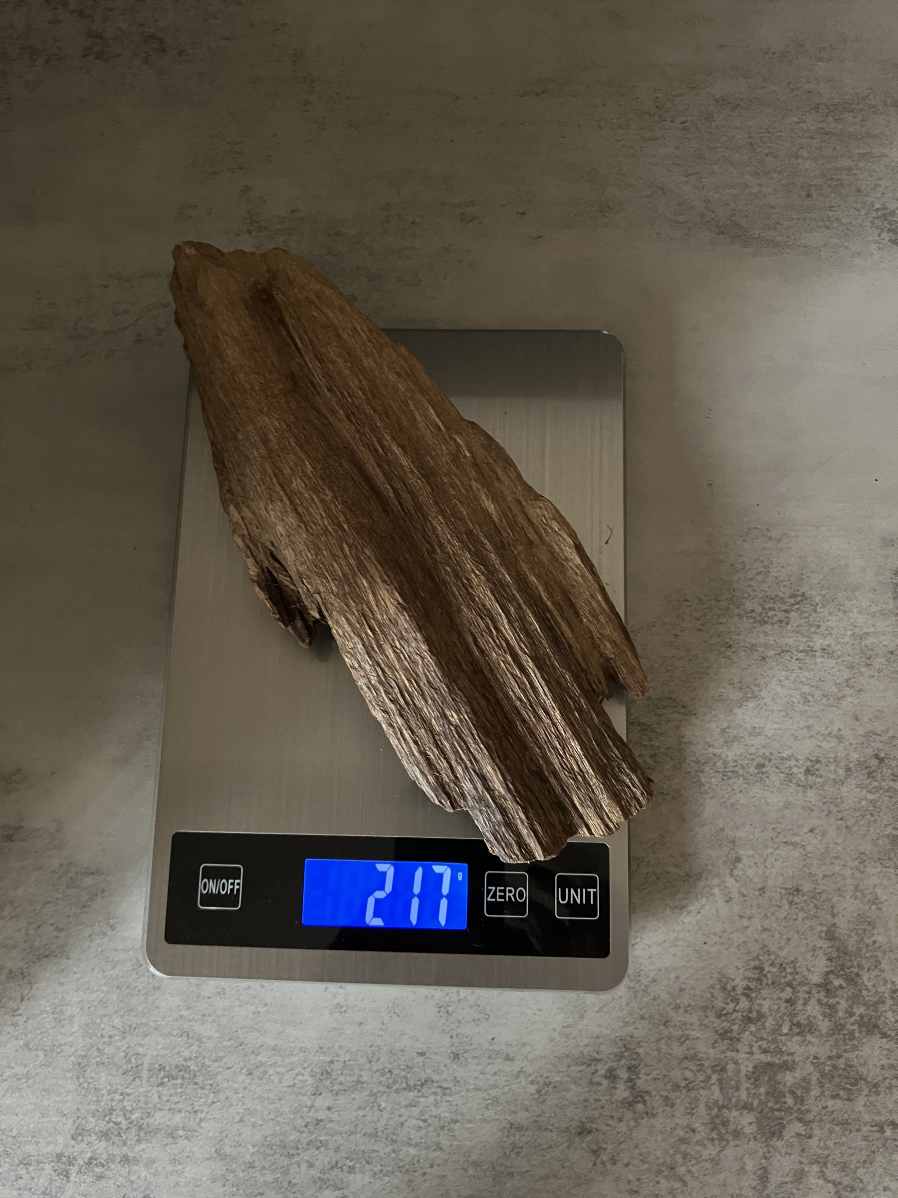 image_E6D68B82-0545-4AD5-90C0-D0816295438F_1763450617