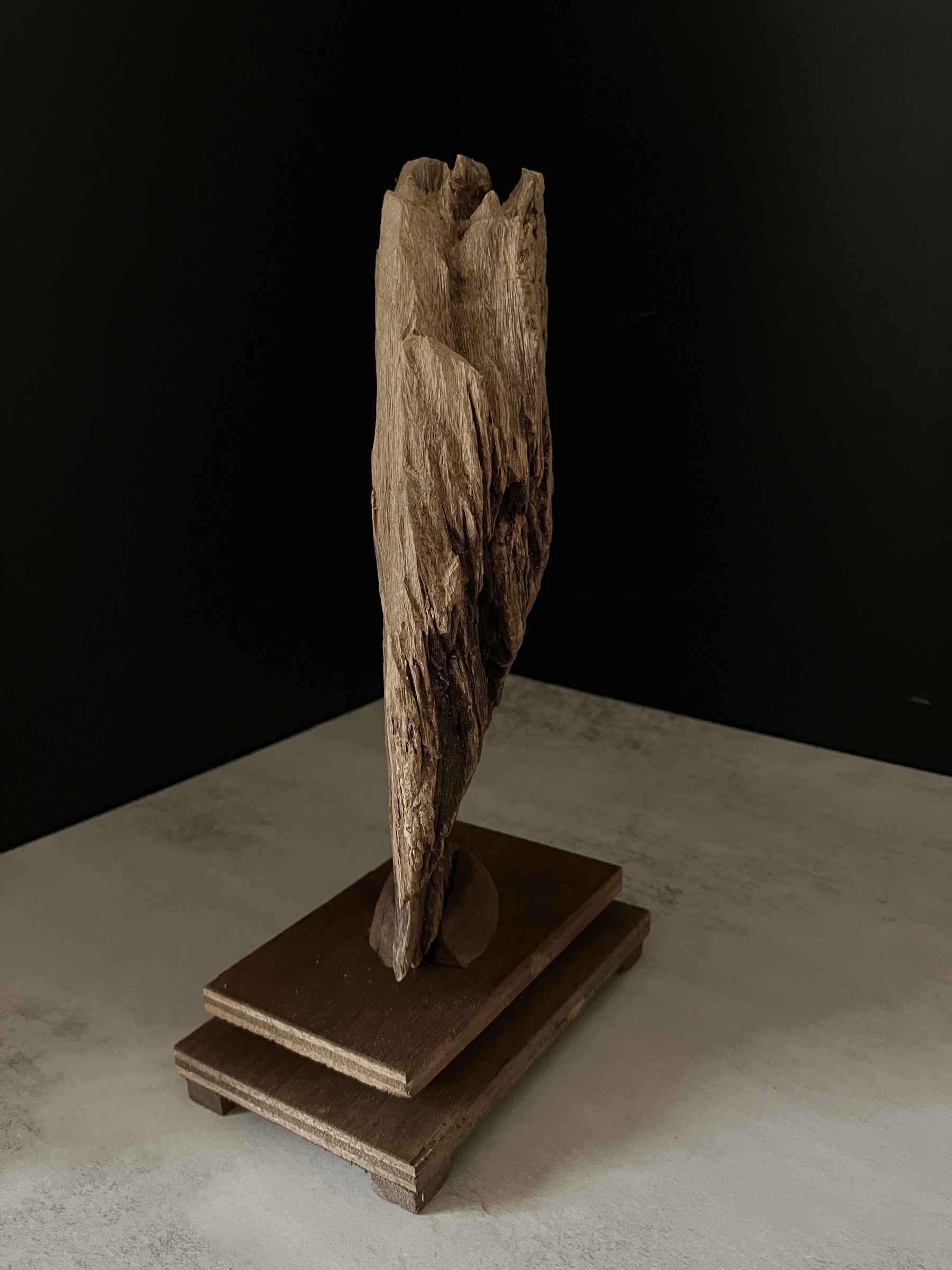 image_E53B70BD-B4C8-433E-8213-705DCBC741E9_1763450617