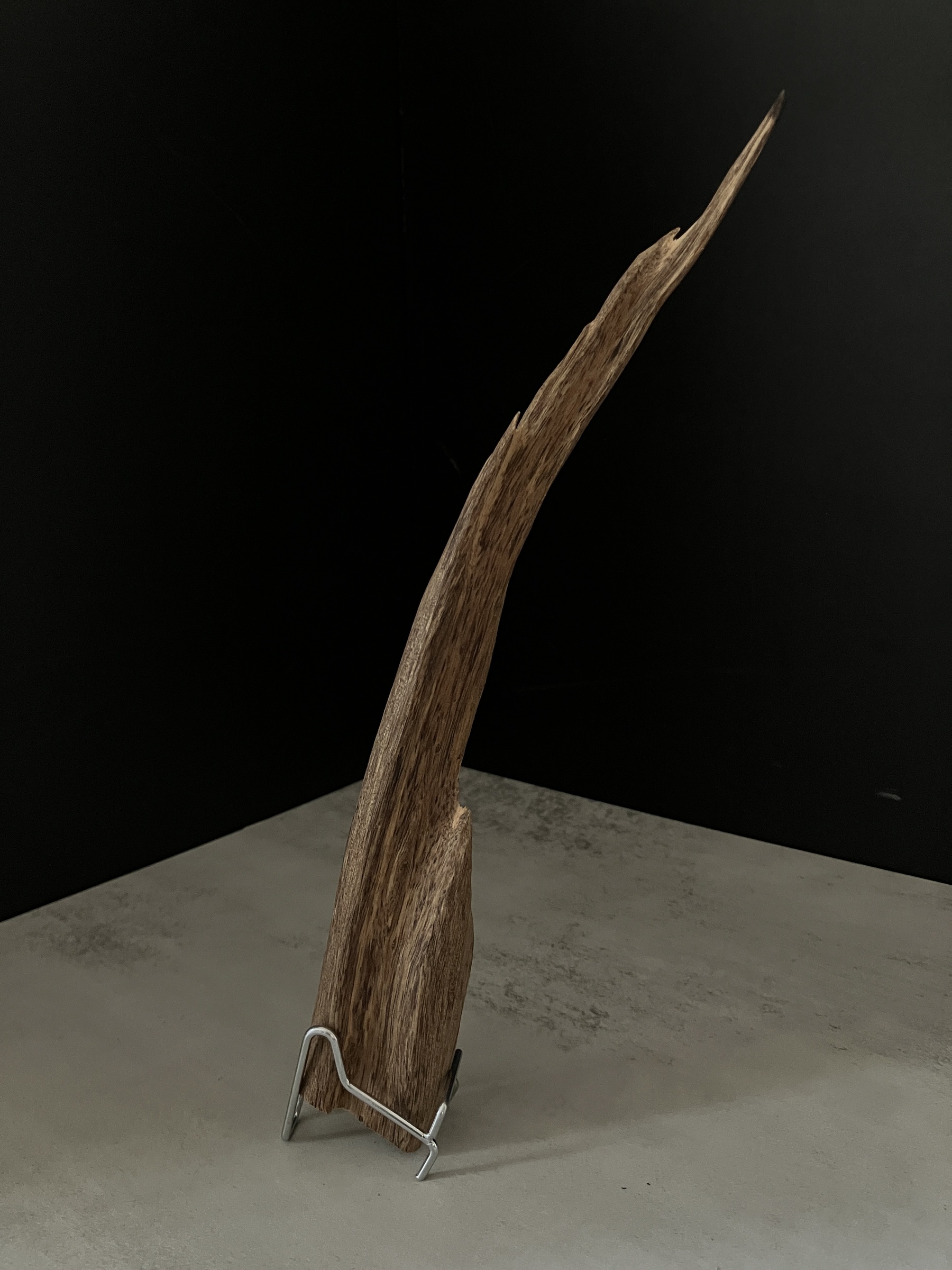 image_DD707E2E-A0D2-481B-930C-7EBF557AF28B_1763450691