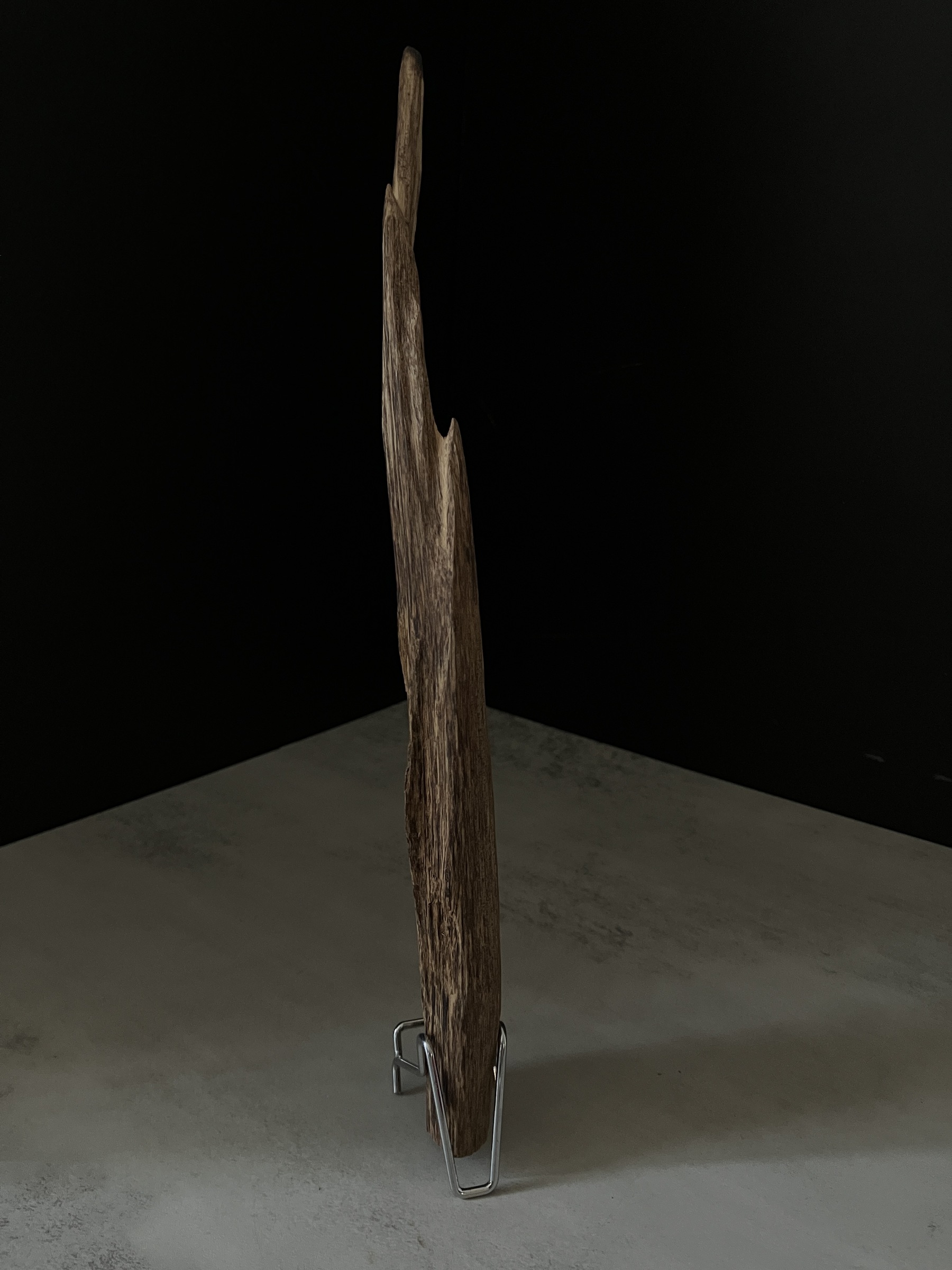 image_6788C758-9242-49C3-8CEB-7121752DADEE_1763450691