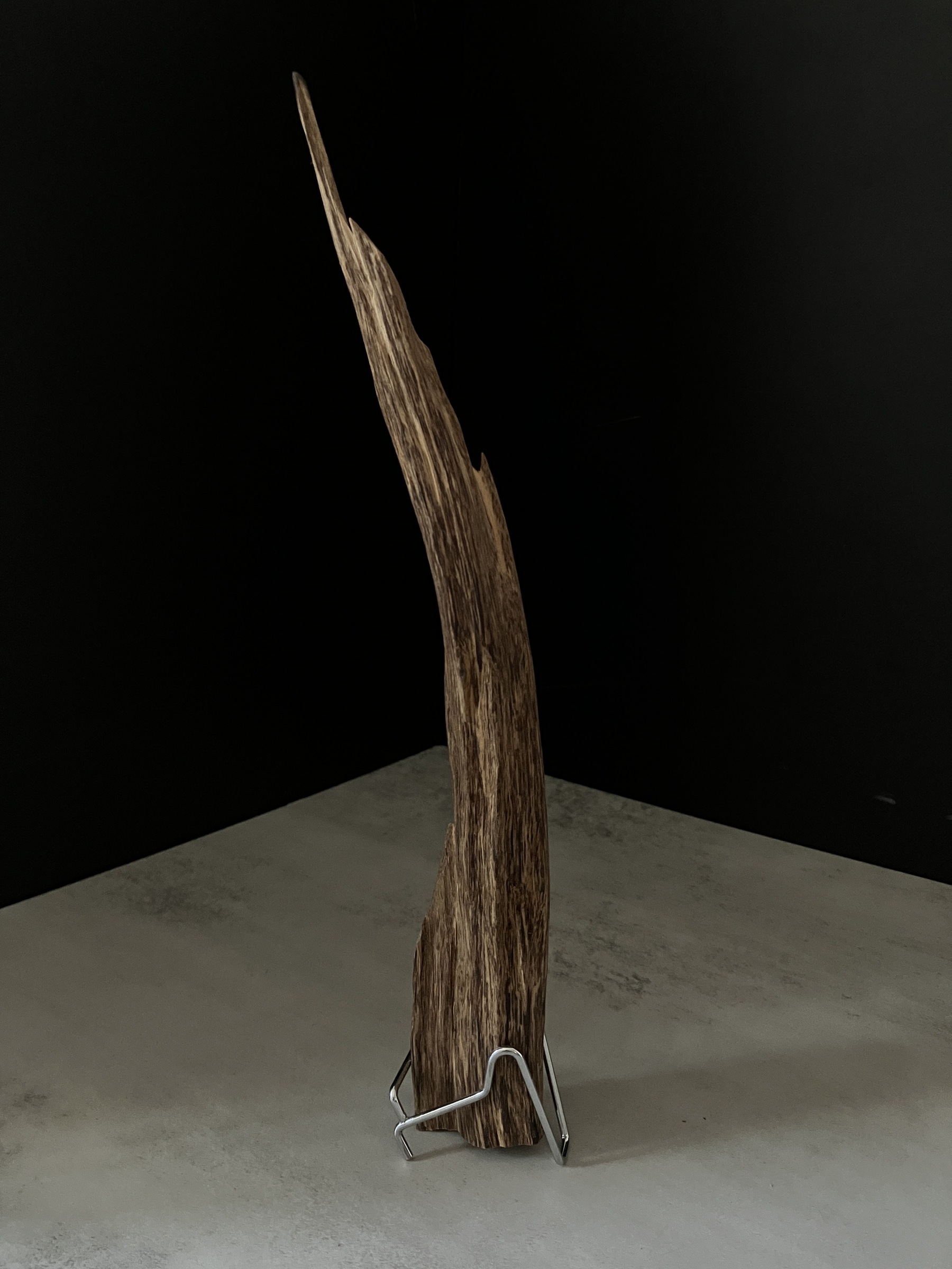 image_DE11DB0A-2DF6-4348-9A3F-B4808A5A51F7_1763450691