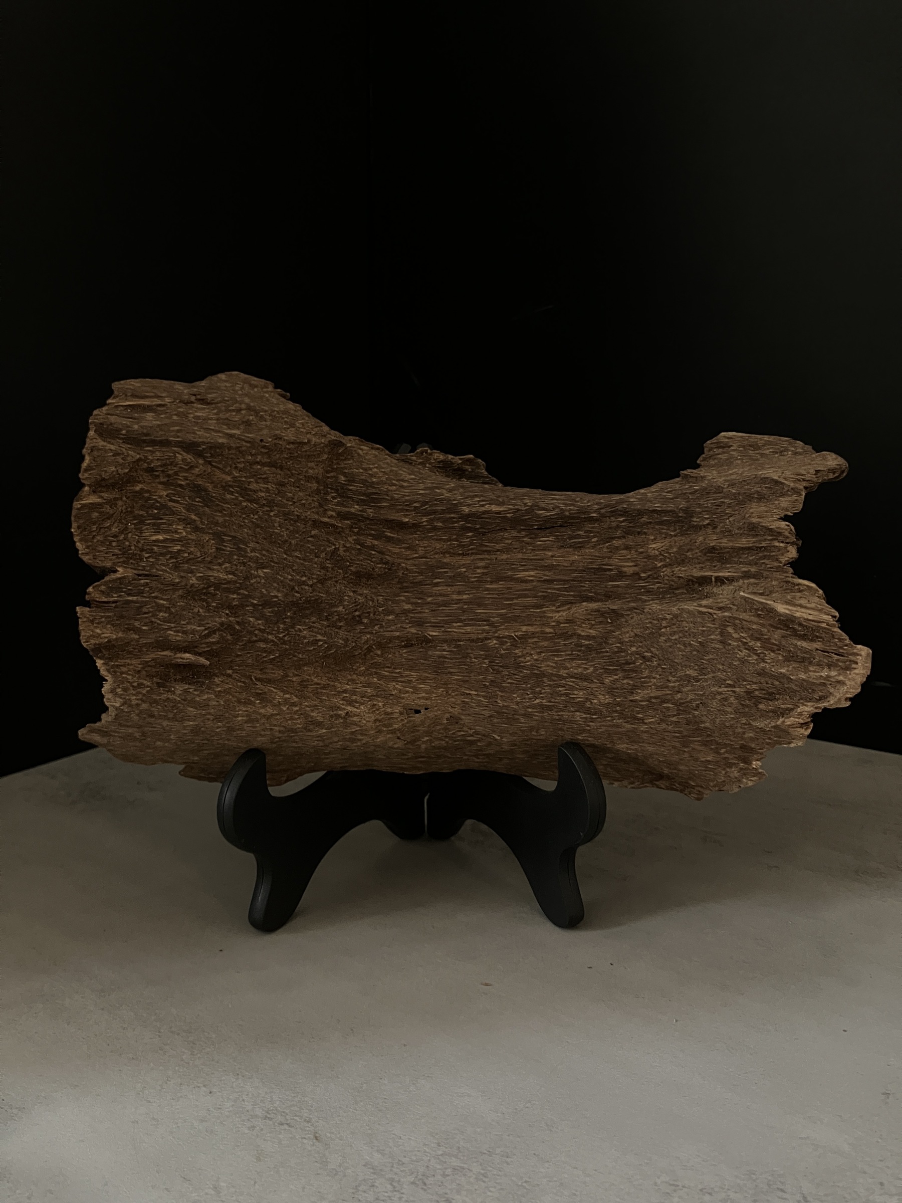 image_730F773F-2835-4B32-B1FF-290A846706DB_1763450788